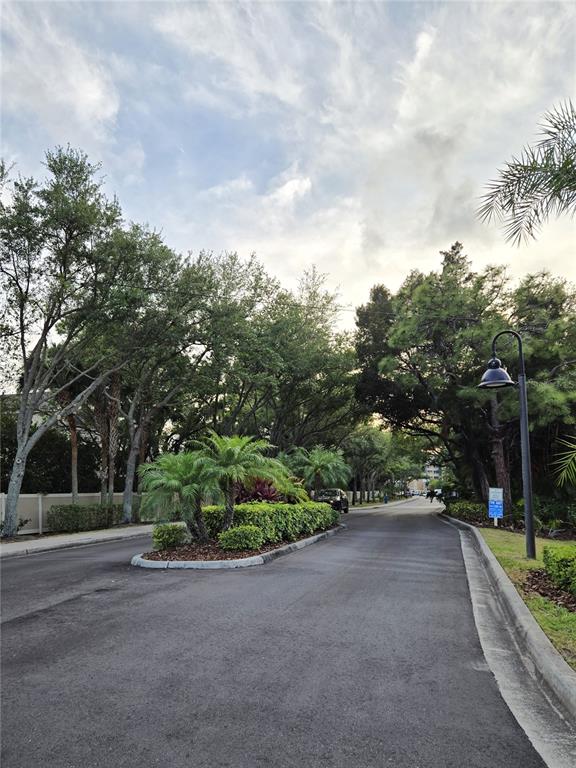 960 Starkey Road, Unit 9206 Largo, FL 33771 - Photo 67 of 79 Gallery Image 67