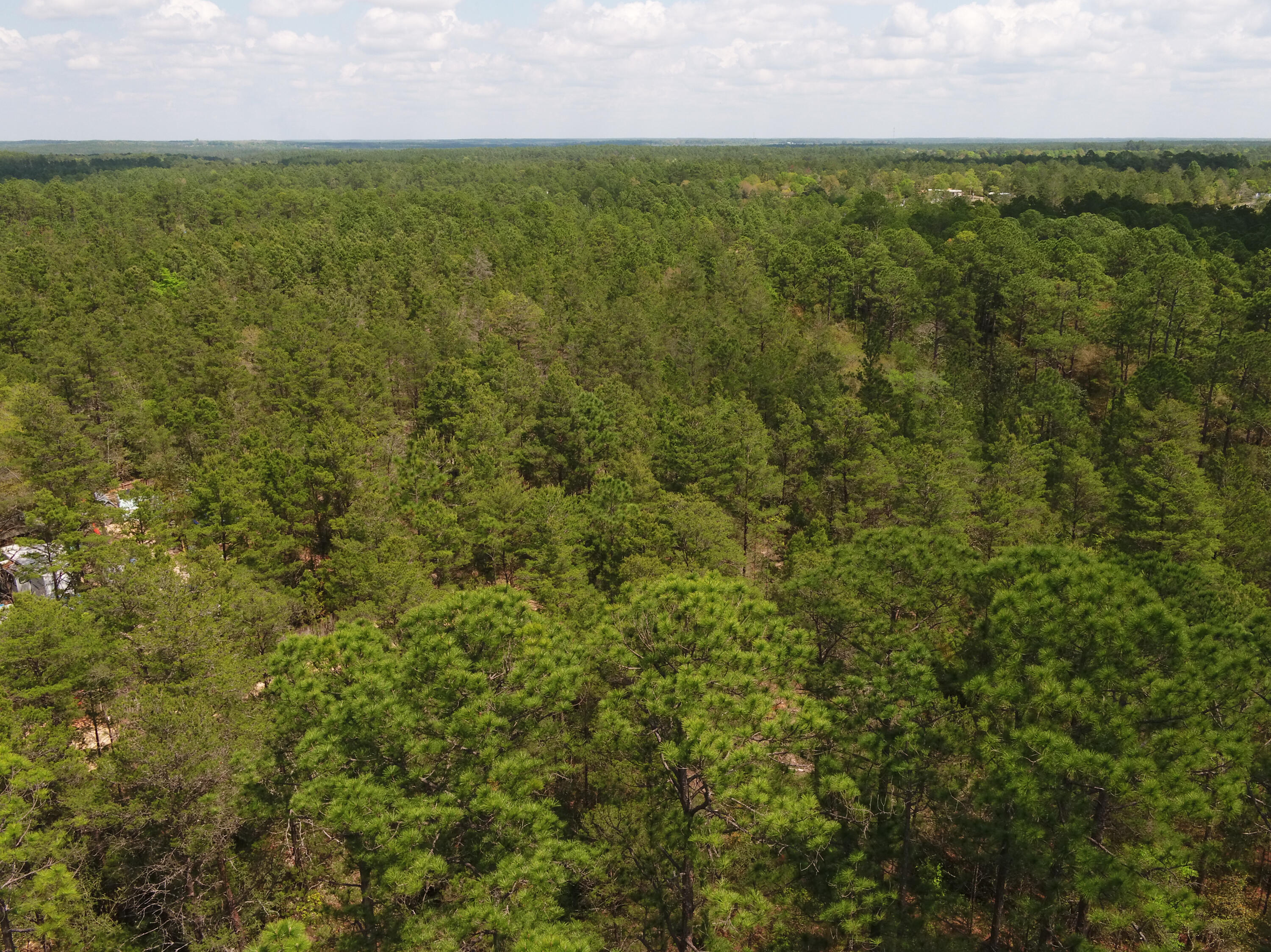 0 East Snapdragon Street DeFuniak Springs, FL 32433 - Photo 20 of 24 a view of a field with an outdoor space
