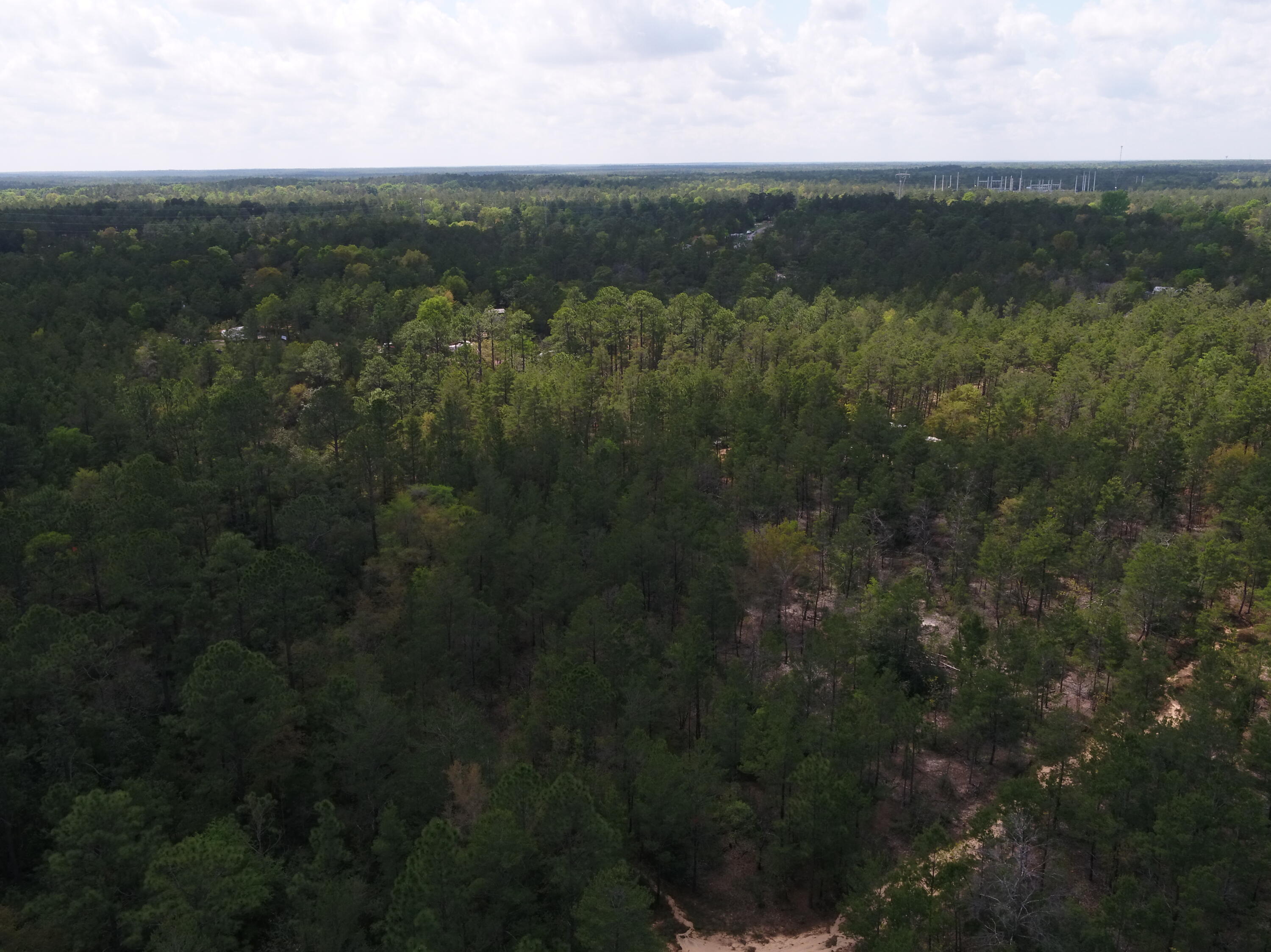 0 East Snapdragon Street DeFuniak Springs, FL 32433 - Photo 23 of 24 a view of a lush green forest with a sink