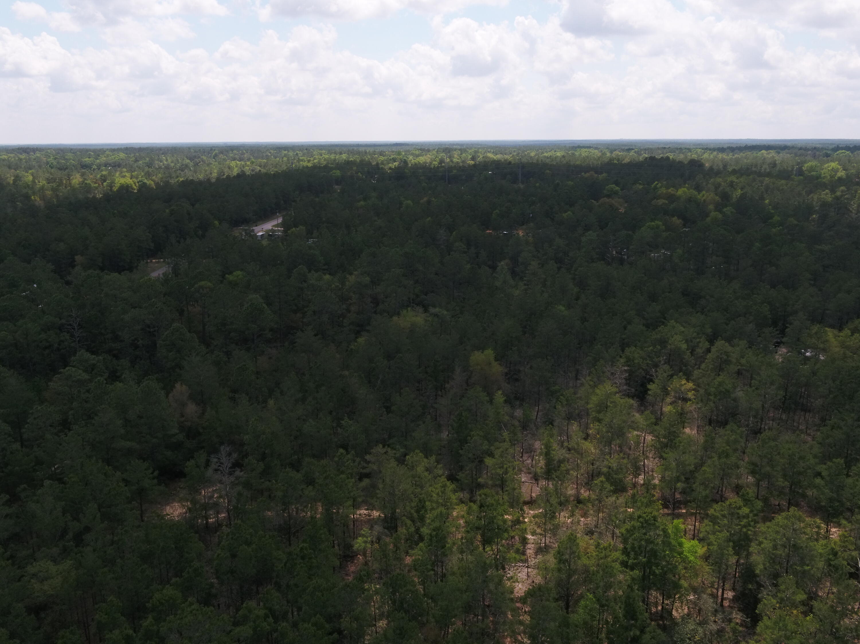 0 East Snapdragon Street DeFuniak Springs, FL 32433 - Photo 24 of 24 a view of a city with lush green forest
