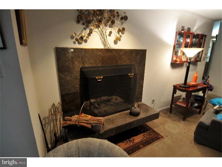 6957 Upper York Road New Hope, PA 18938 - Photo 13 of 19 Fireplace