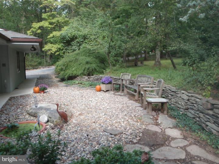 6957 Upper York Road New Hope, PA 18938 - Photo 5 of 19 Side Yard
