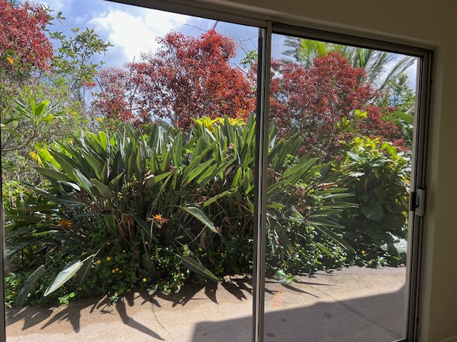 3320 B Wawae Road Kalaheo, HI 96741 - Photo 12 of 15 a view of a garden