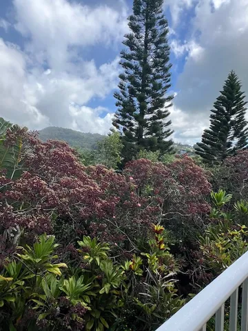 a view of a garden with plants