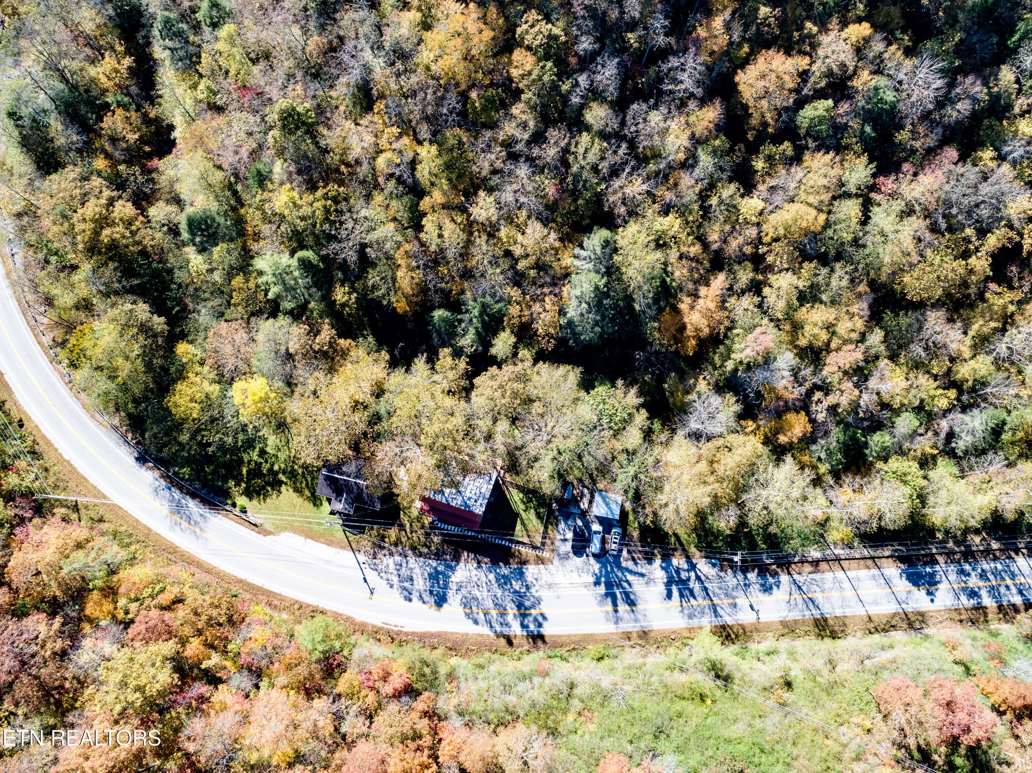 643 Airport Road Oakdale, TN 37829 - Photo 44 of 56 a view of a backyard of the house