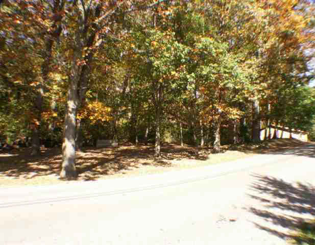 3375 West Sycamore Beach Road Angola, IN 46703 - Photo 4 of 7 Gallery Image 4