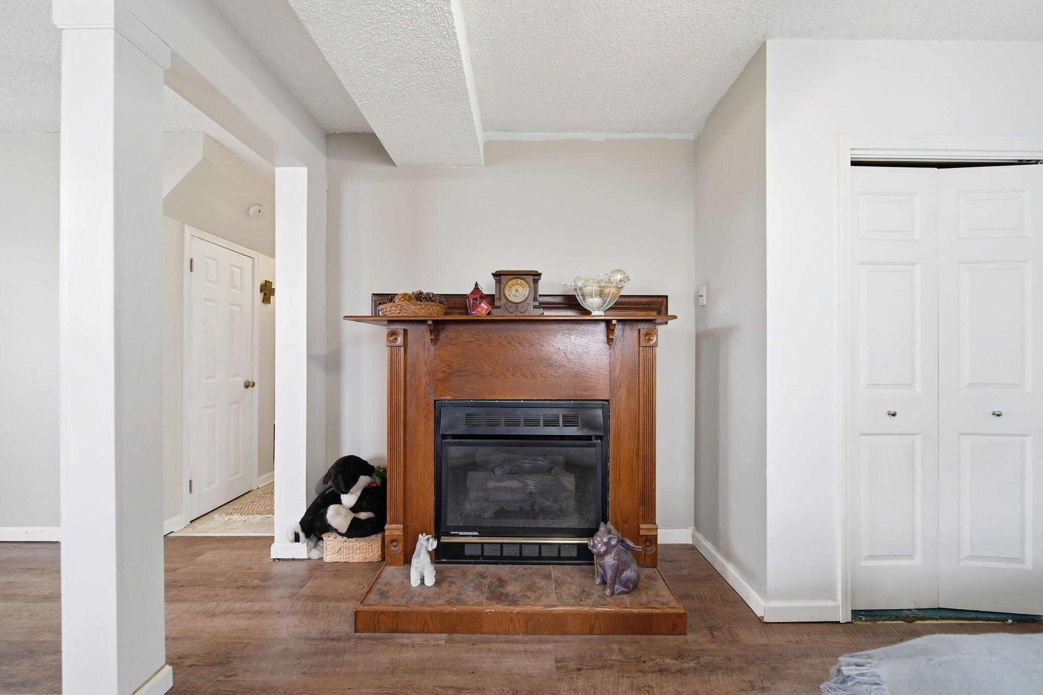 7549 Wadding Drive Onsted, MI 49265 - Photo 28 of 48 27-web-or-mls-DSC06609