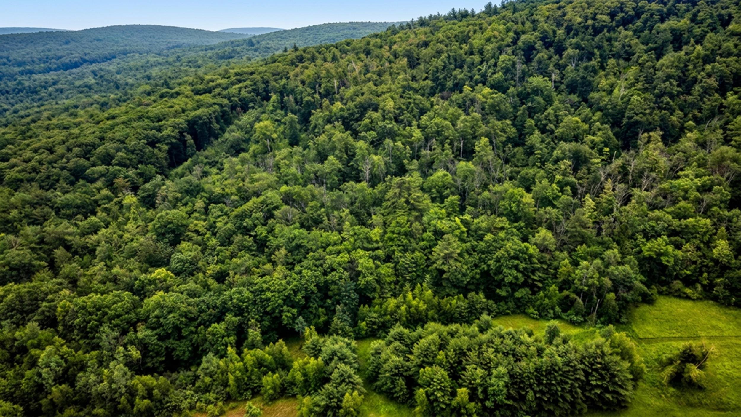 0 Hurricane Road, Unit BACKLAND Westmoreland, NH 03467 - Photo 4 of 10