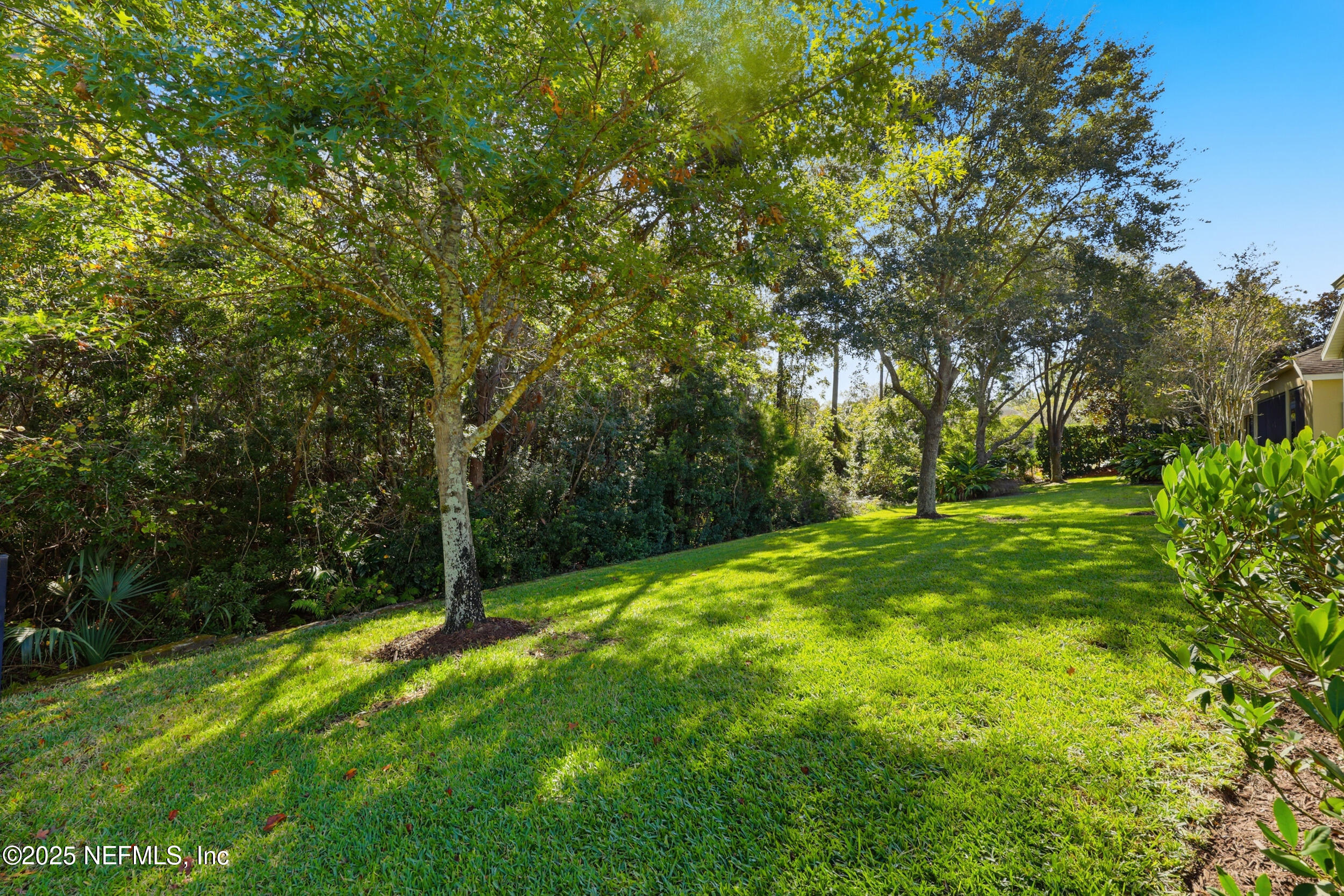 653 River Run Boulevard Ponte Vedra, FL 32081 - Photo 48 of 130 LOTS OF TREES!