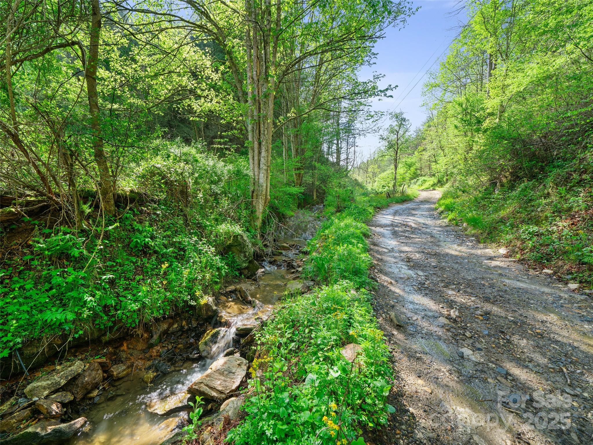 0 Fire Scald Rd Green Mountain Burnsville, NC 28714 - Photo 12 of 30 a backyard of a house with lots of green space