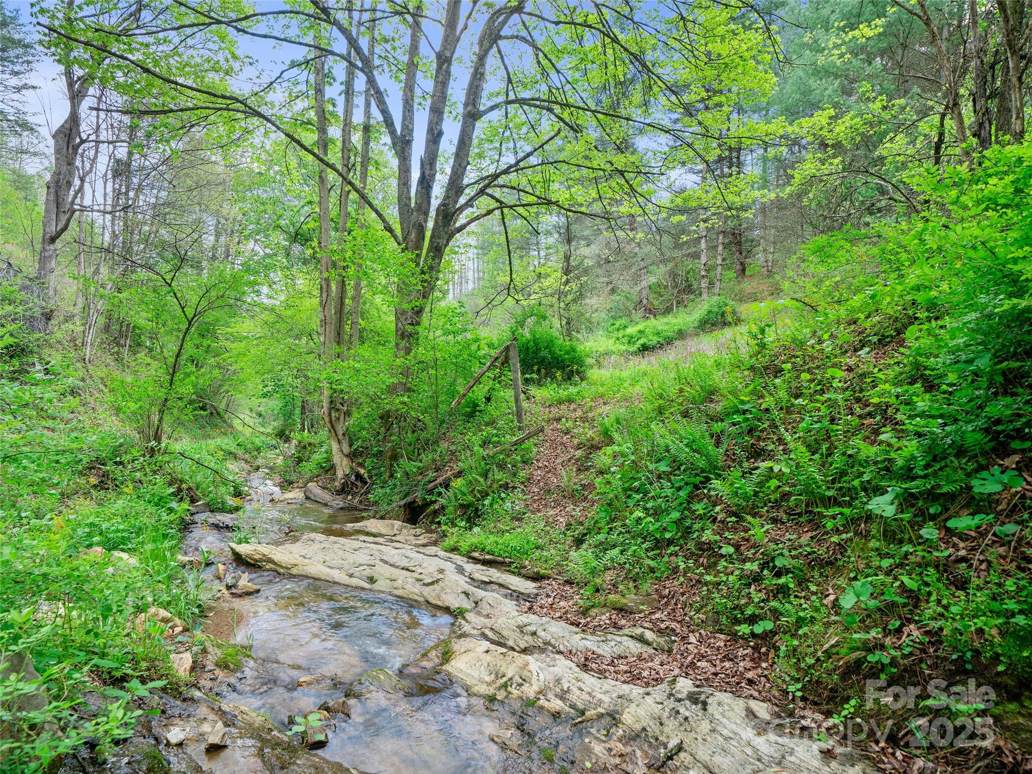 0 Fire Scald Rd Green Mountain Burnsville, NC 28714 - Photo 14 of 30 a backyard of a house with lots of green space