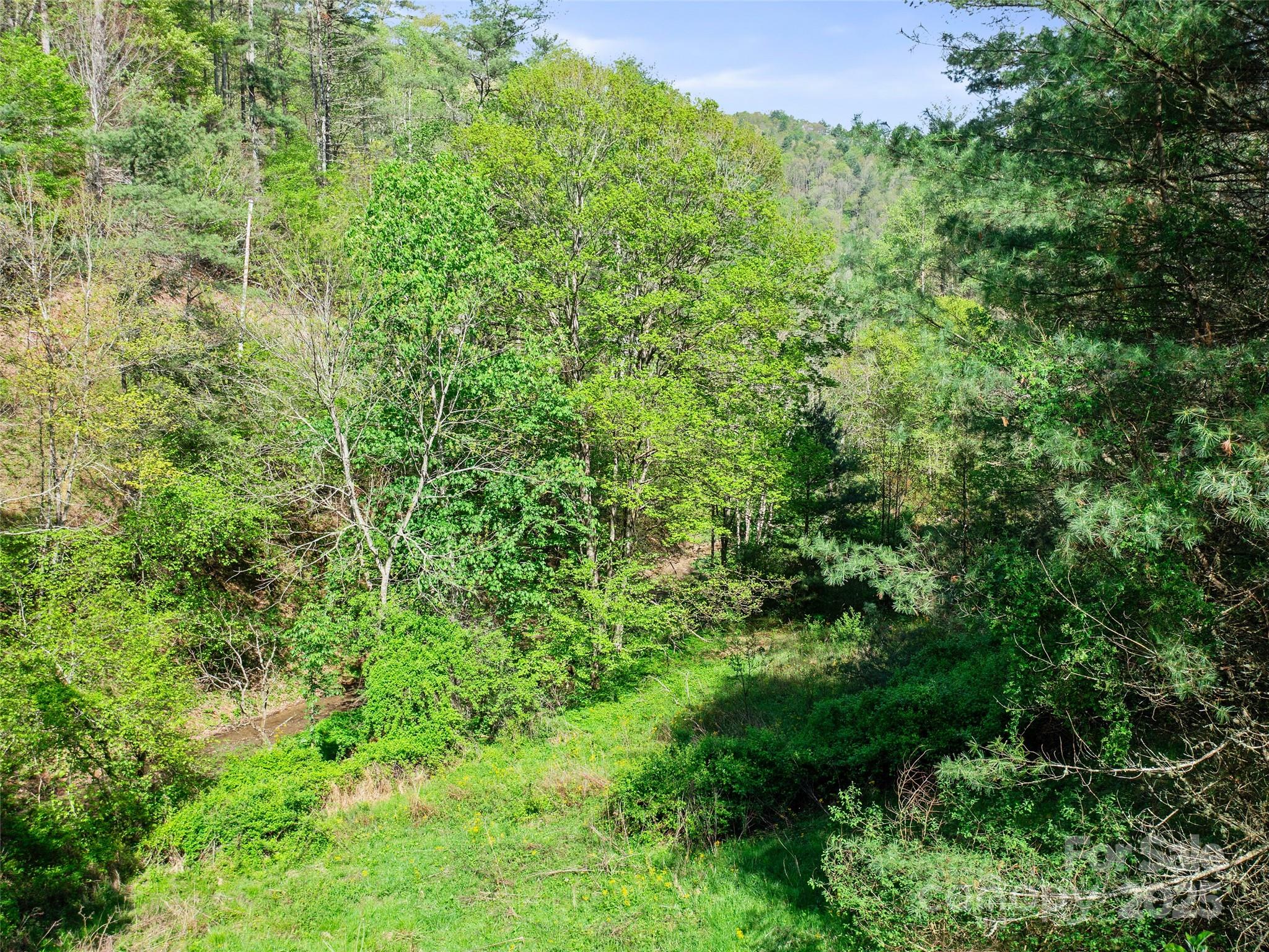 0 Fire Scald Rd Green Mountain Burnsville, NC 28714 - Photo 16 of 30 an aerial view of residential house with outdoor space and trees all around