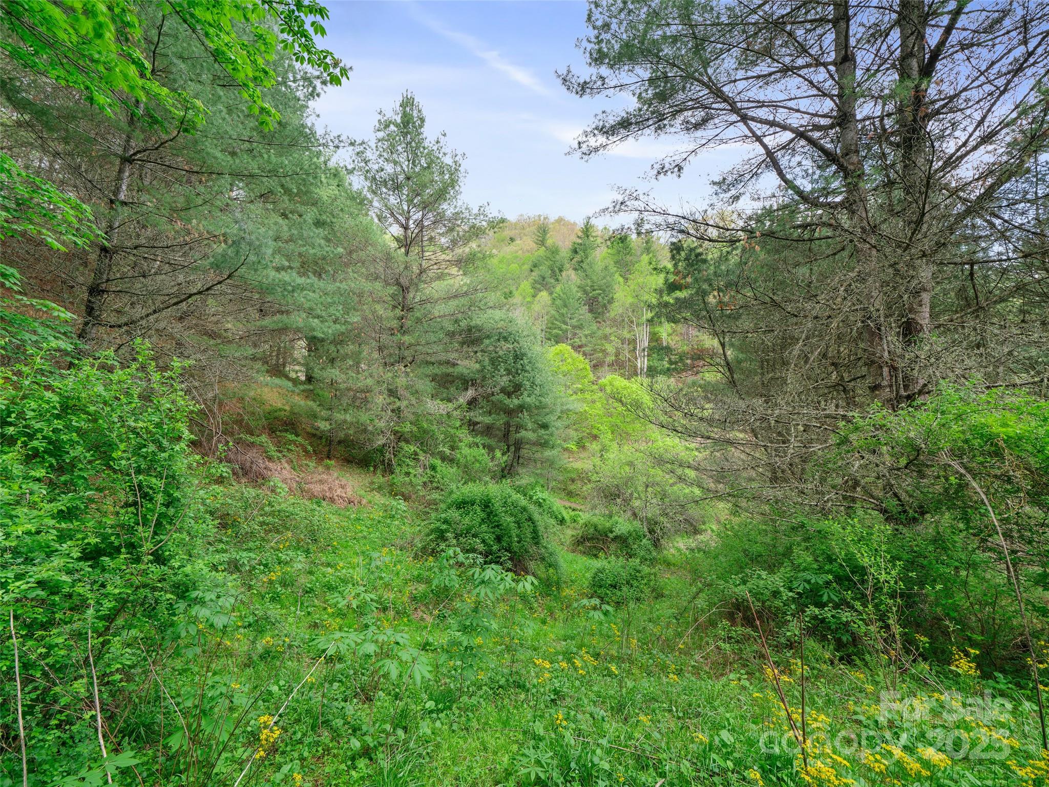 0 Fire Scald Rd Green Mountain Burnsville, NC 28714 - Photo 17 of 30