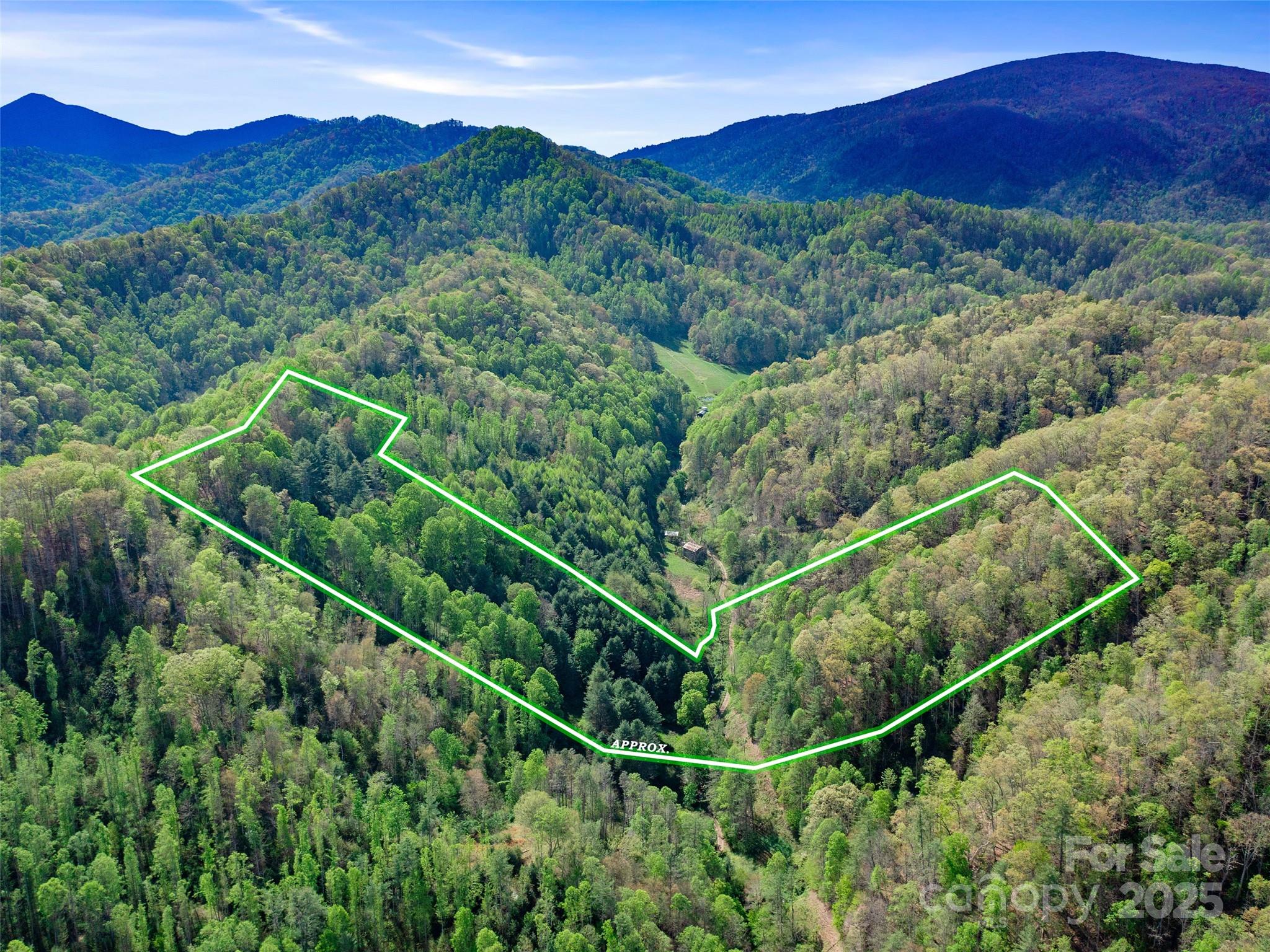0 Fire Scald Rd Green Mountain Burnsville, NC 28714 - Photo 2 of 30 a view of a forest with a mountain