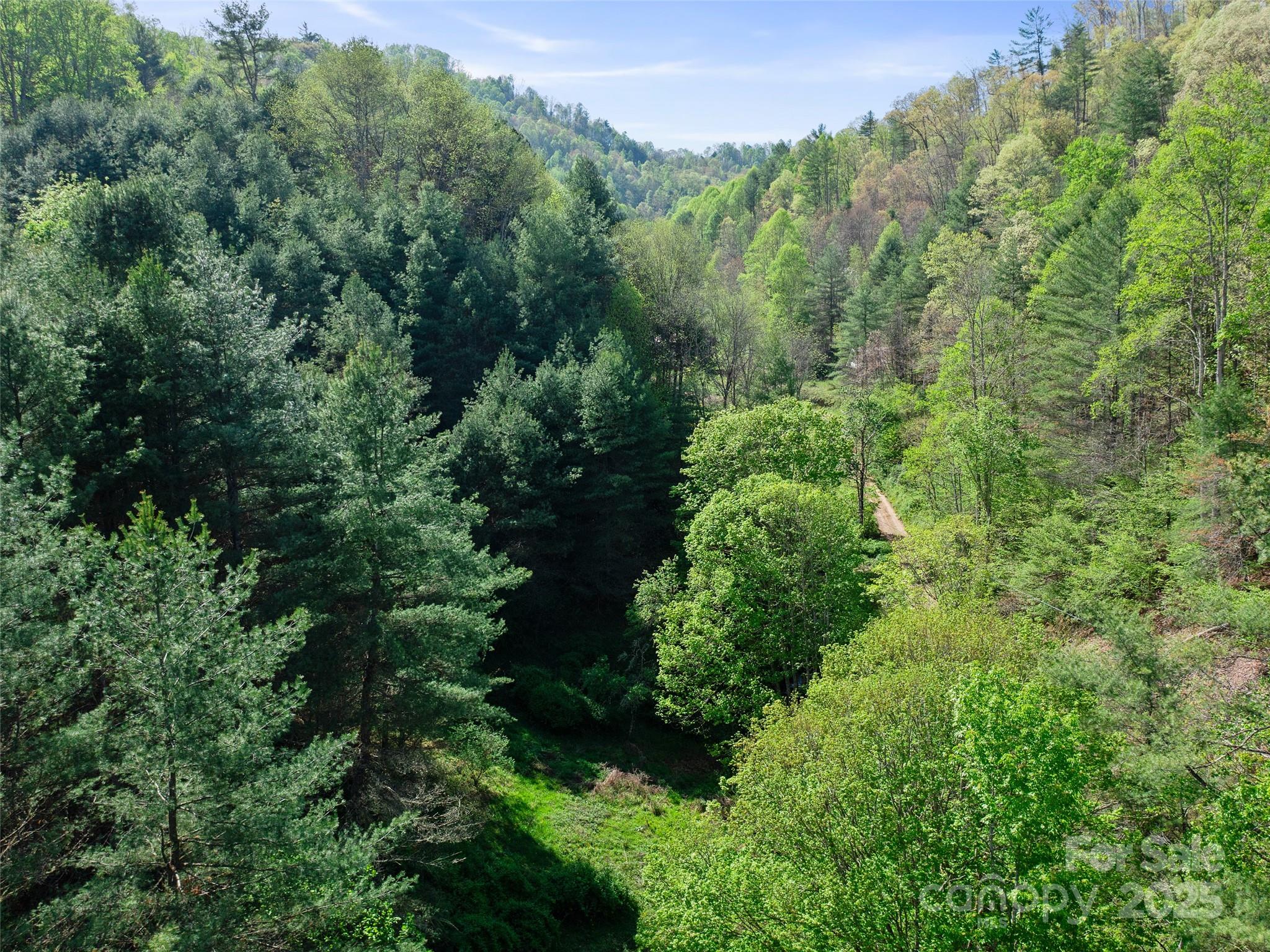 0 Fire Scald Rd Green Mountain Burnsville, NC 28714 - Photo 21 of 30 an aerial view of a house with a yard
