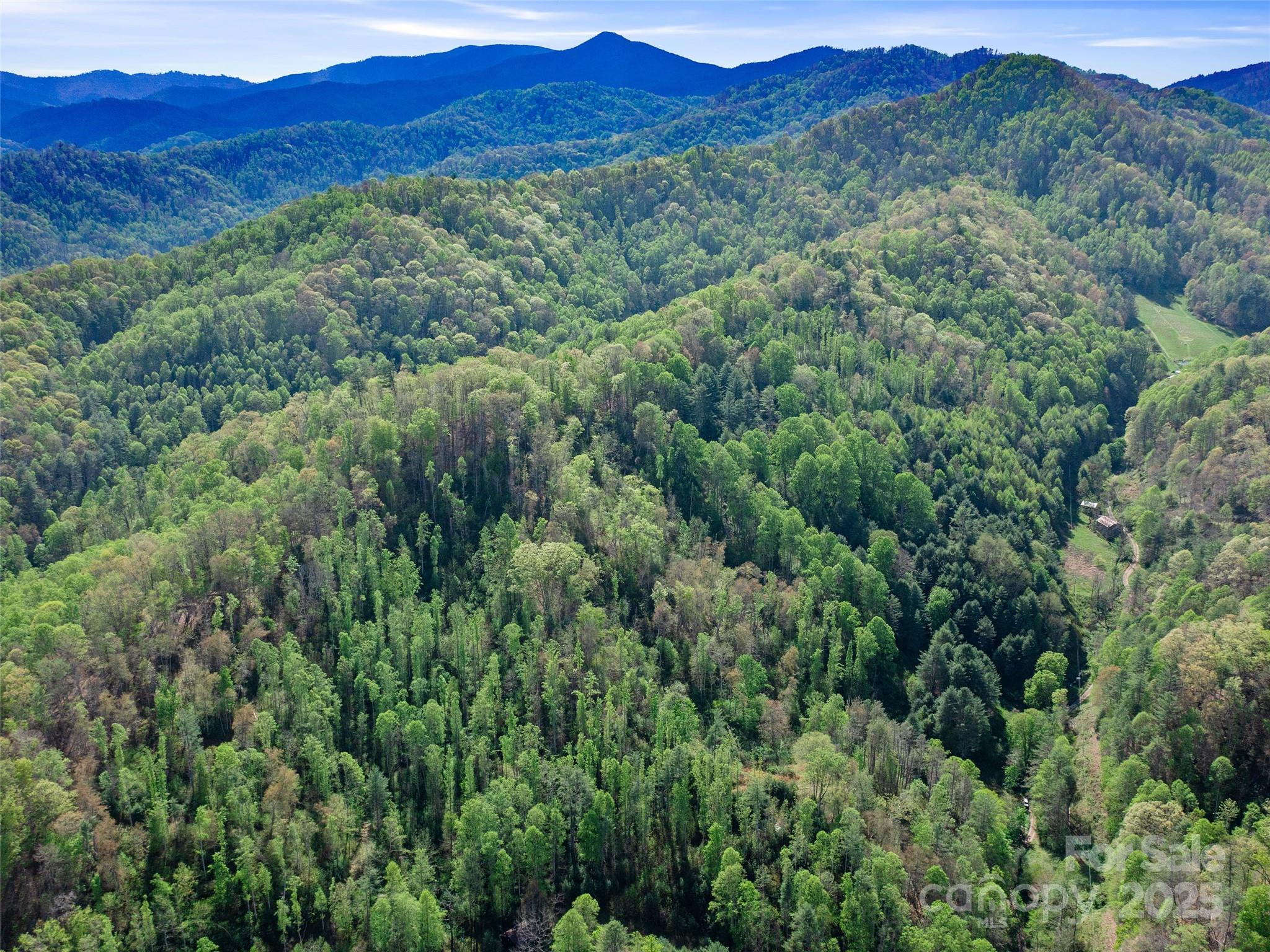 0 Fire Scald Rd Green Mountain Burnsville, NC 28714 - Photo 22 of 30 a view of a forest with a street