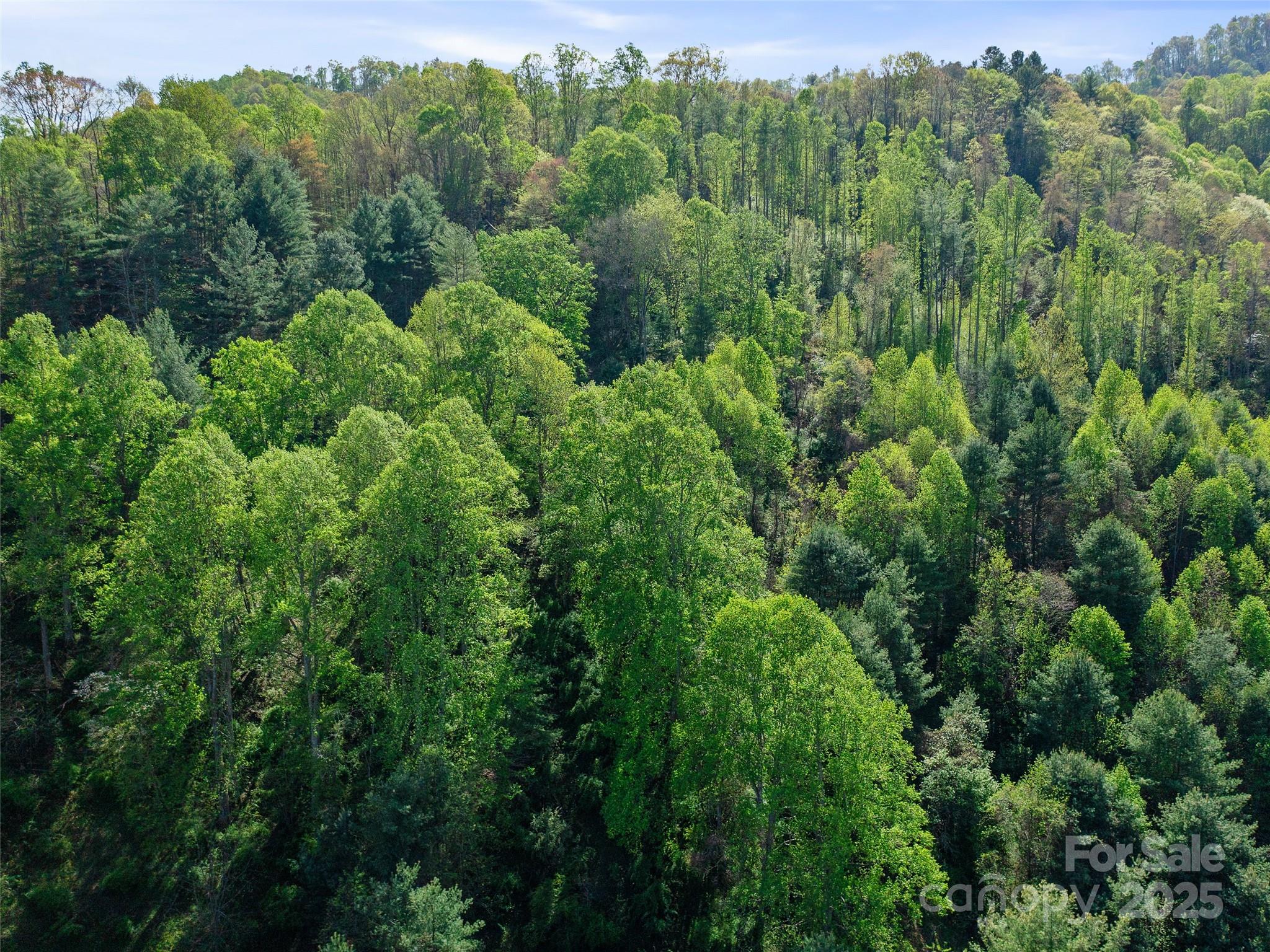 0 Fire Scald Rd Green Mountain Burnsville, NC 28714 - Photo 29 of 30 an aerial view of a forest with houses