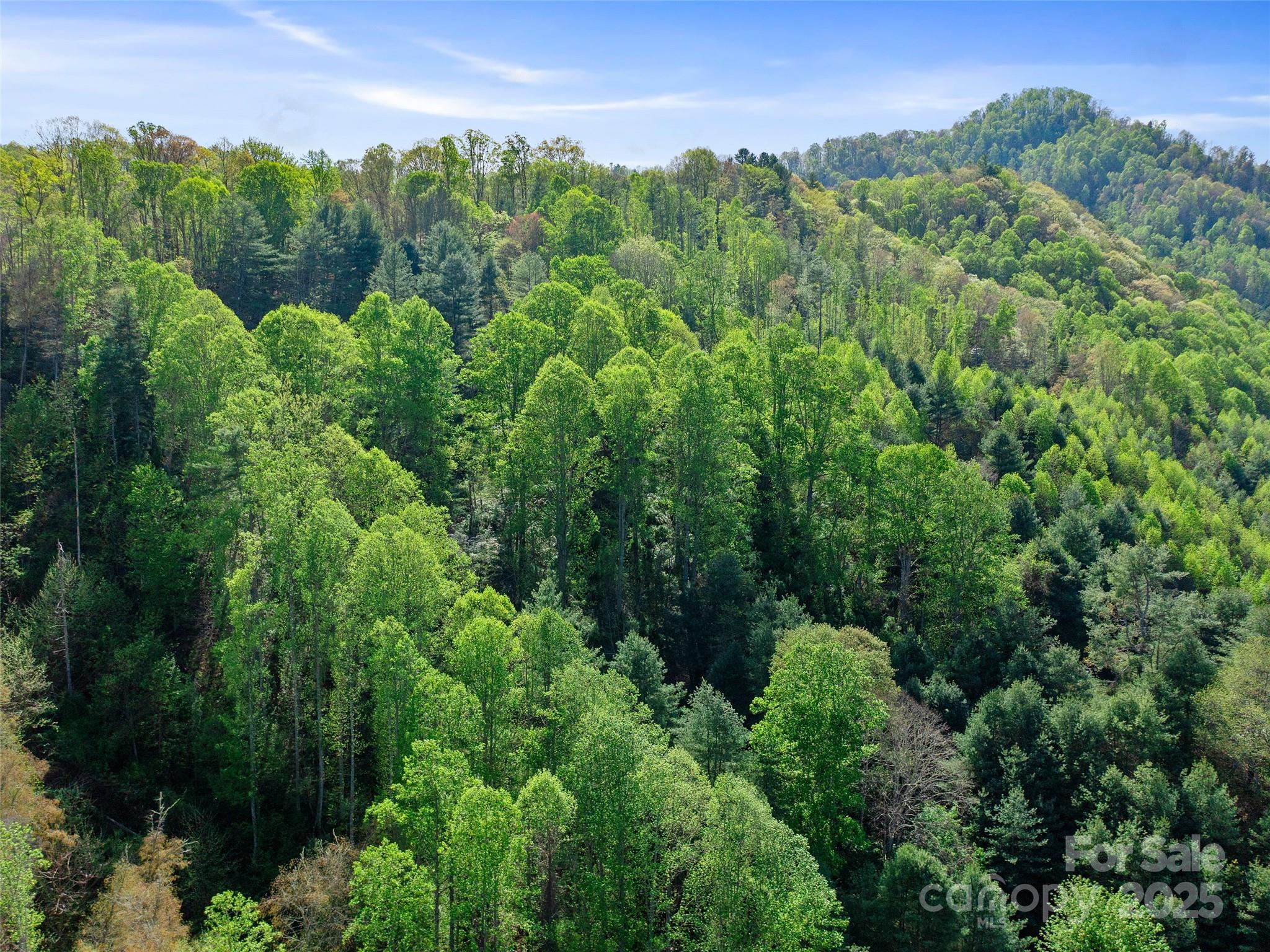 0 Fire Scald Rd Green Mountain Burnsville, NC 28714 - Photo 30 of 30 an aerial view of a house with a yard
