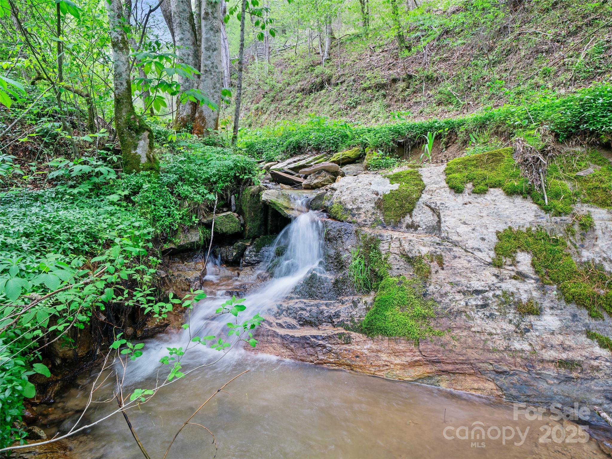 0 Fire Scald Rd Green Mountain Burnsville, NC 28714 - Photo 5 of 30 a view of a street with lots of plants and flowers