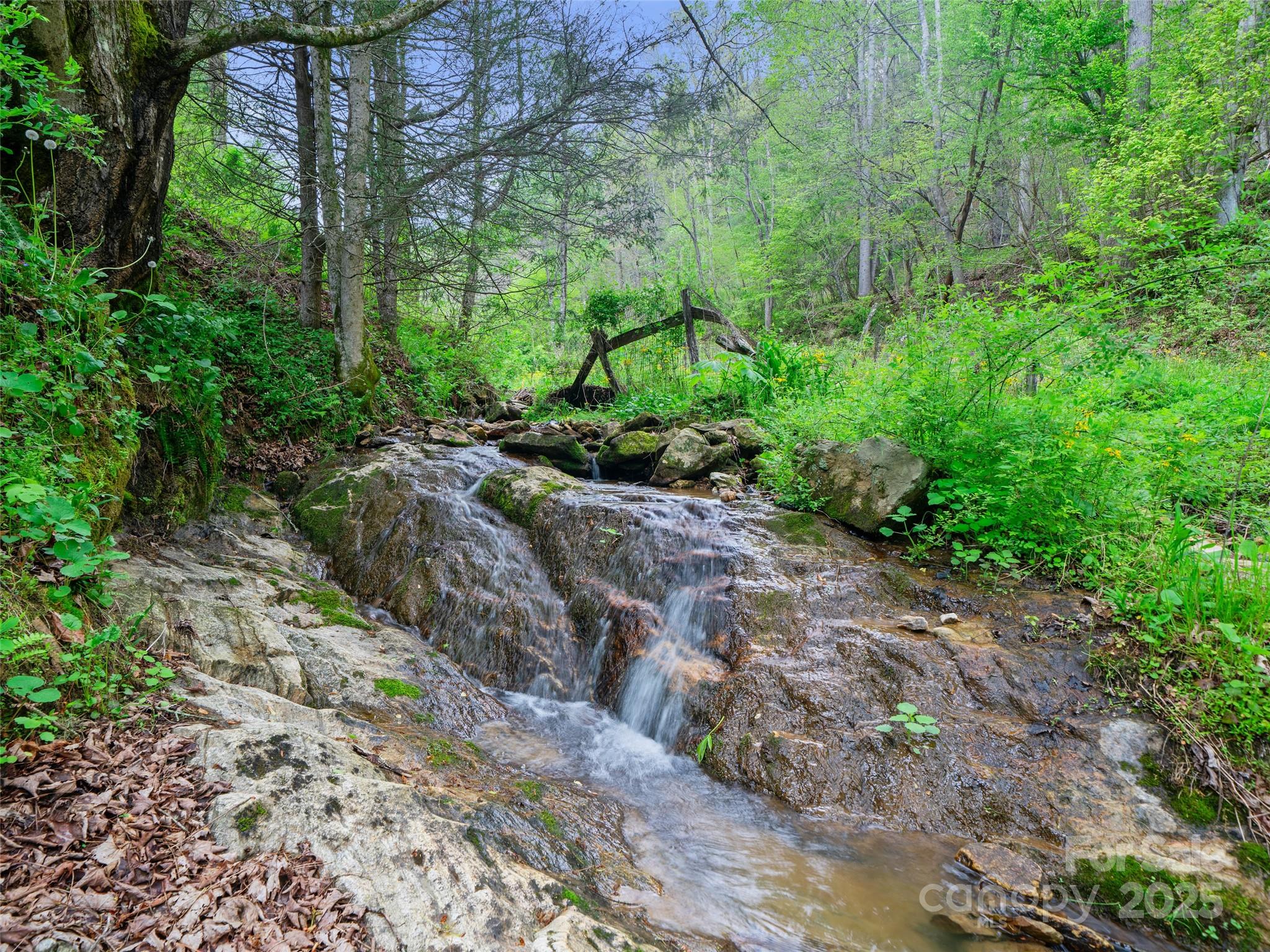 0 Fire Scald Rd Green Mountain Burnsville, NC 28714 - Photo 6 of 30 a big yard with flowing stream of water in middle