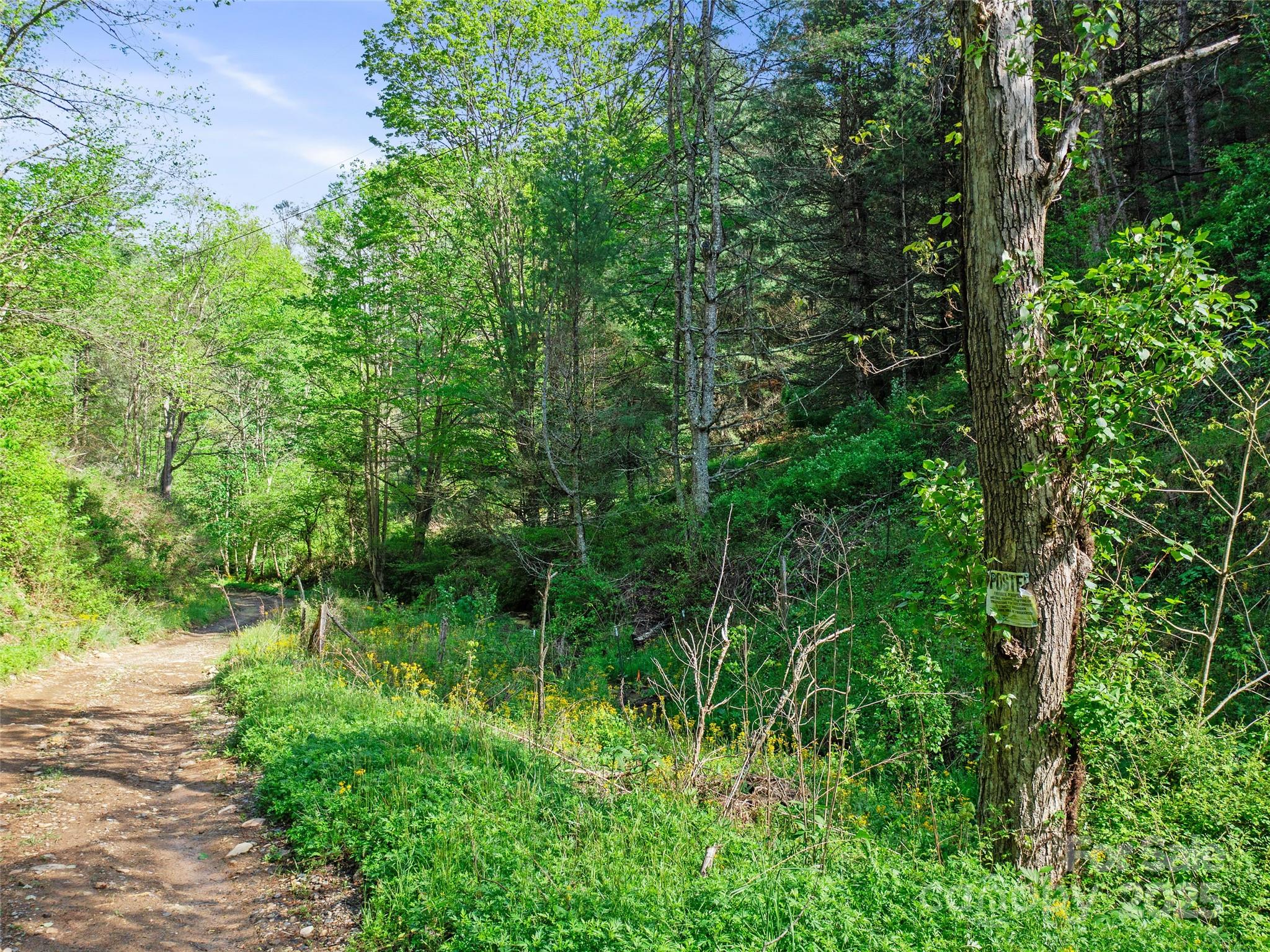 0 Fire Scald Rd Green Mountain Burnsville, NC 28714 - Photo 10 of 30 a view of a garden