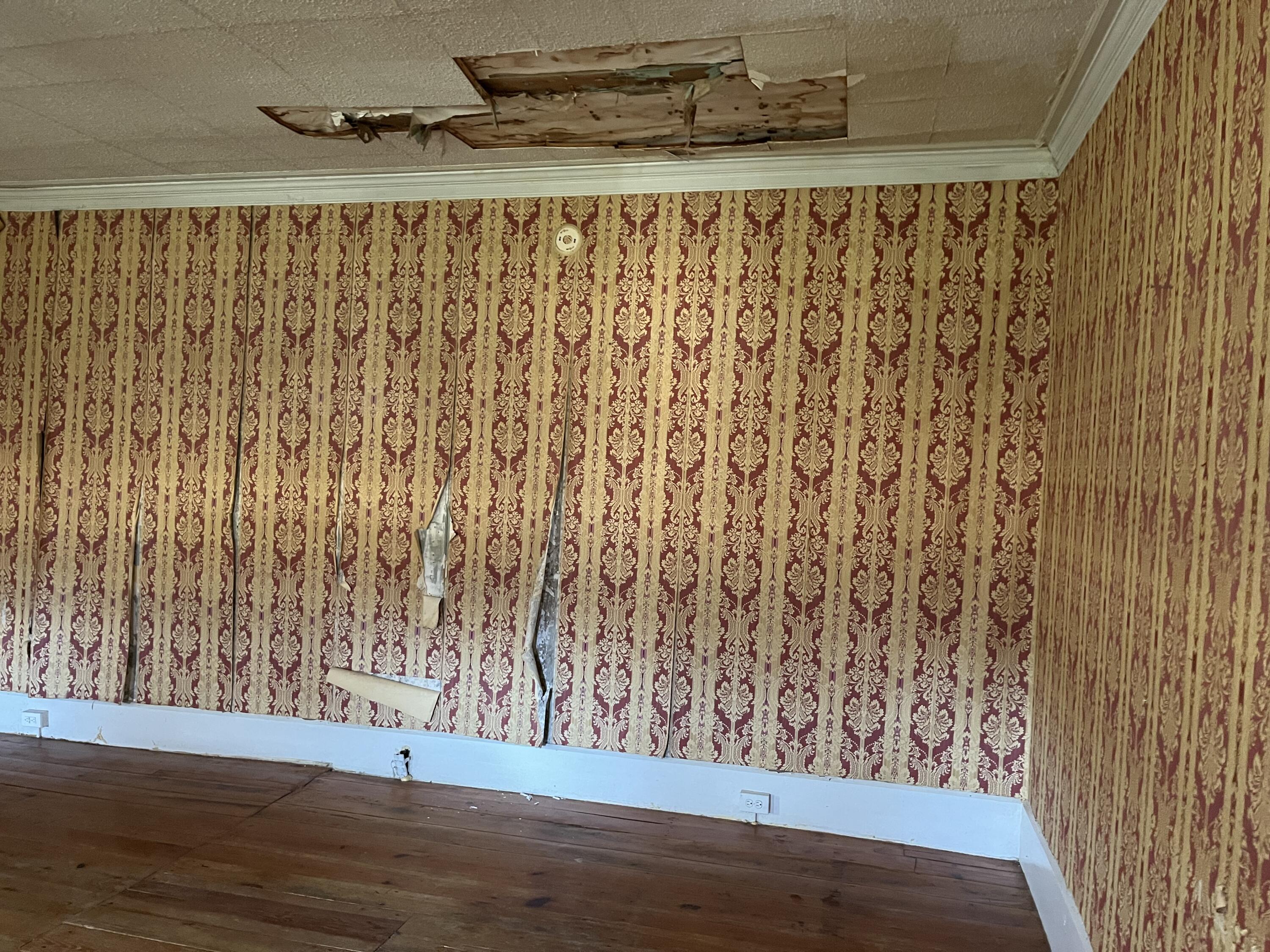 2725 Old Stage Road Afton, TN 37616 - Photo 20 of 54 Ceiling damage