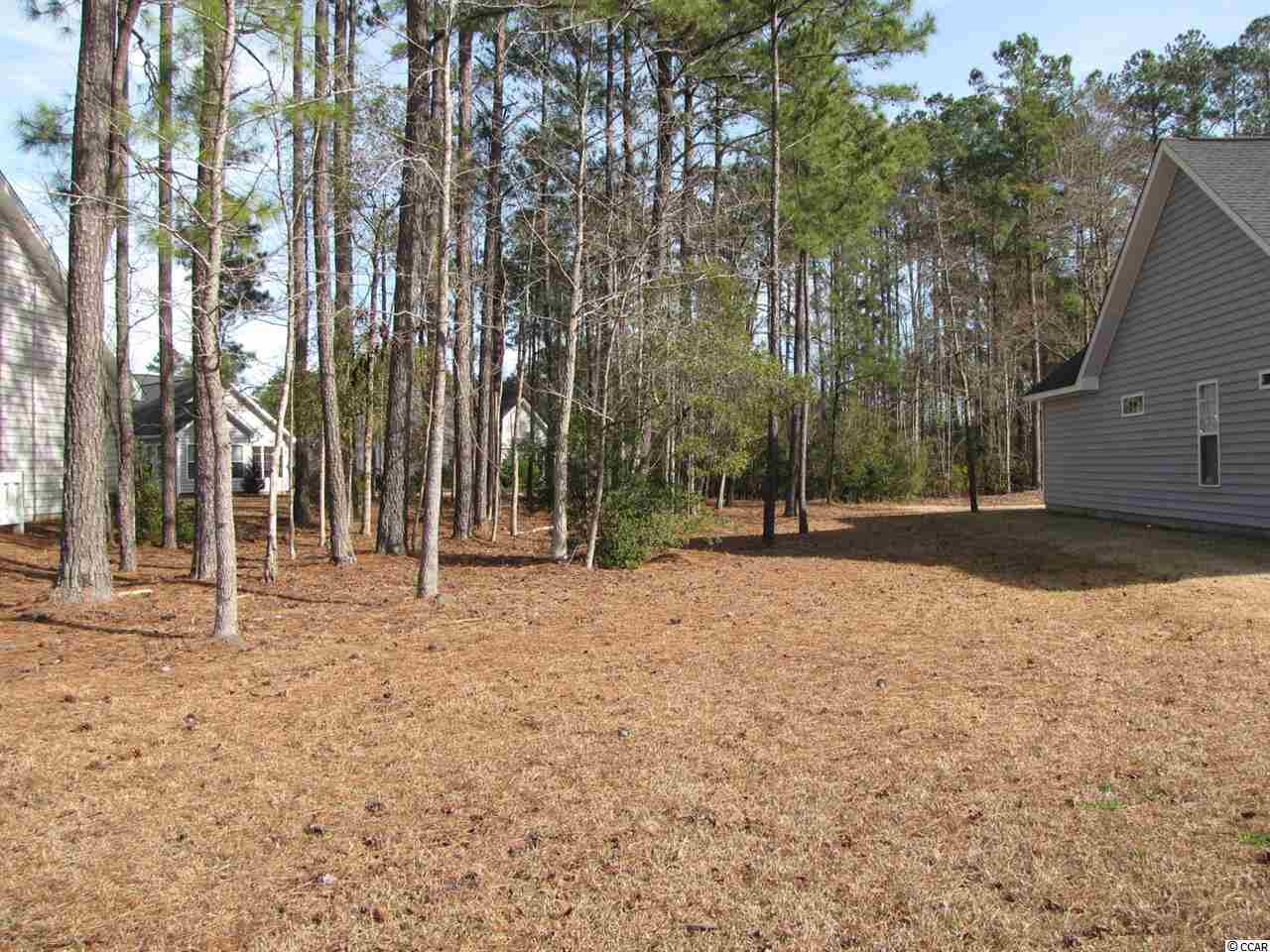 Lot 106 Rudder Court Conway, SC 29526 - Photo 3 of 5 Gallery Image 3