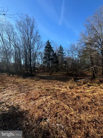 a view of open space with yard