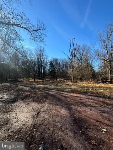 a view of dirt yard with large trees