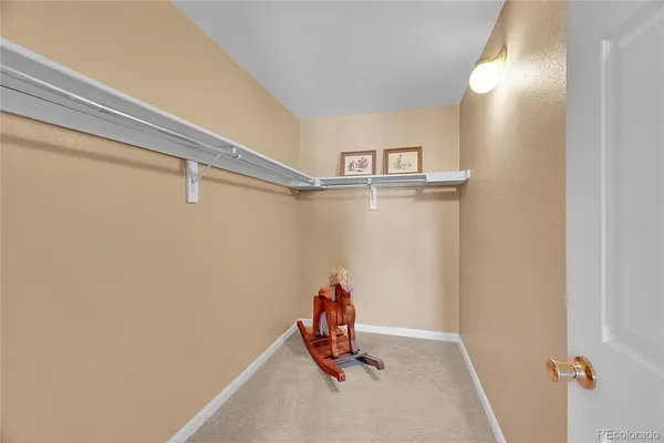 a view of storage and utility room with racks on the wall