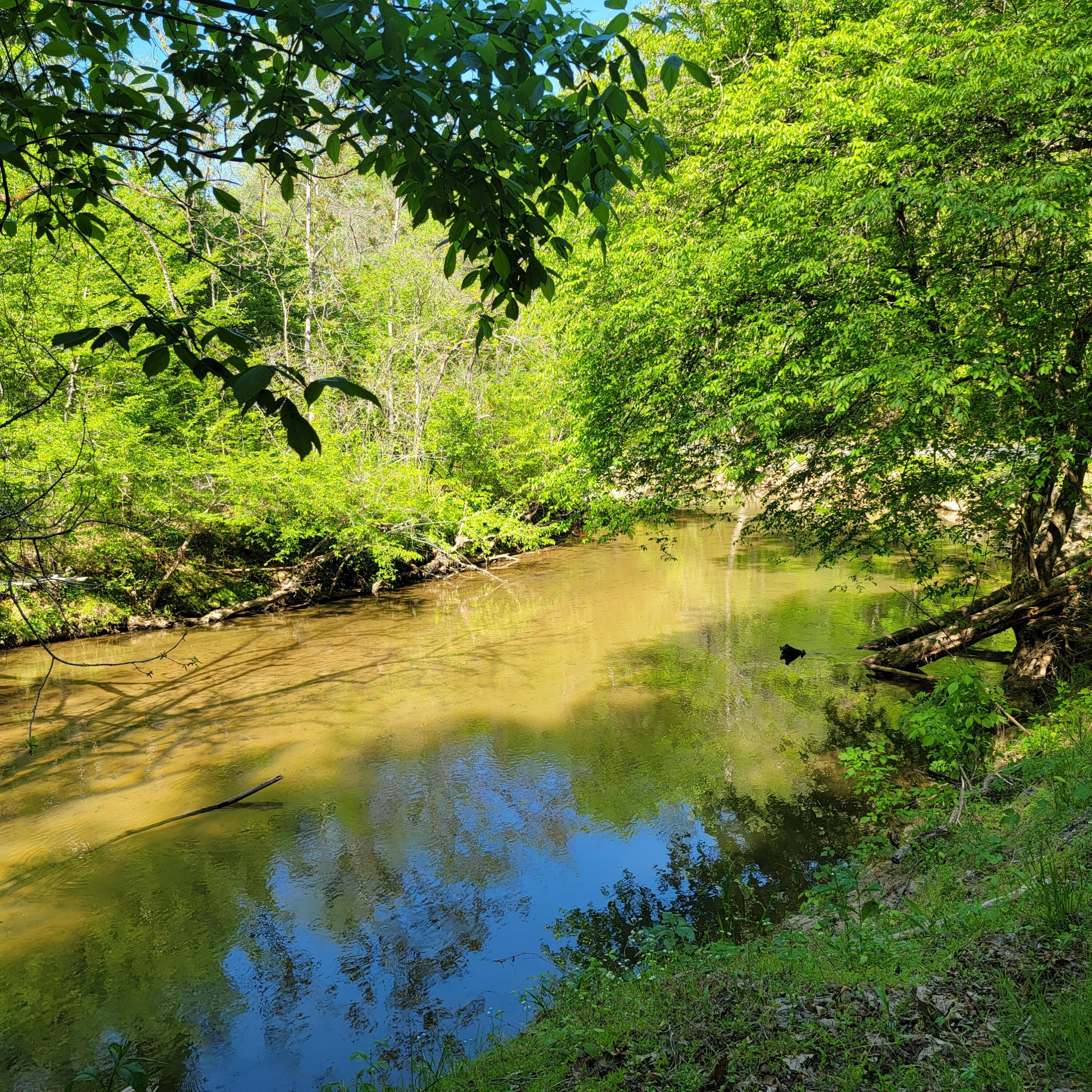 418 Blue Bend Road Rocky Mount, VA 24151 - Photo 39 of 40 River