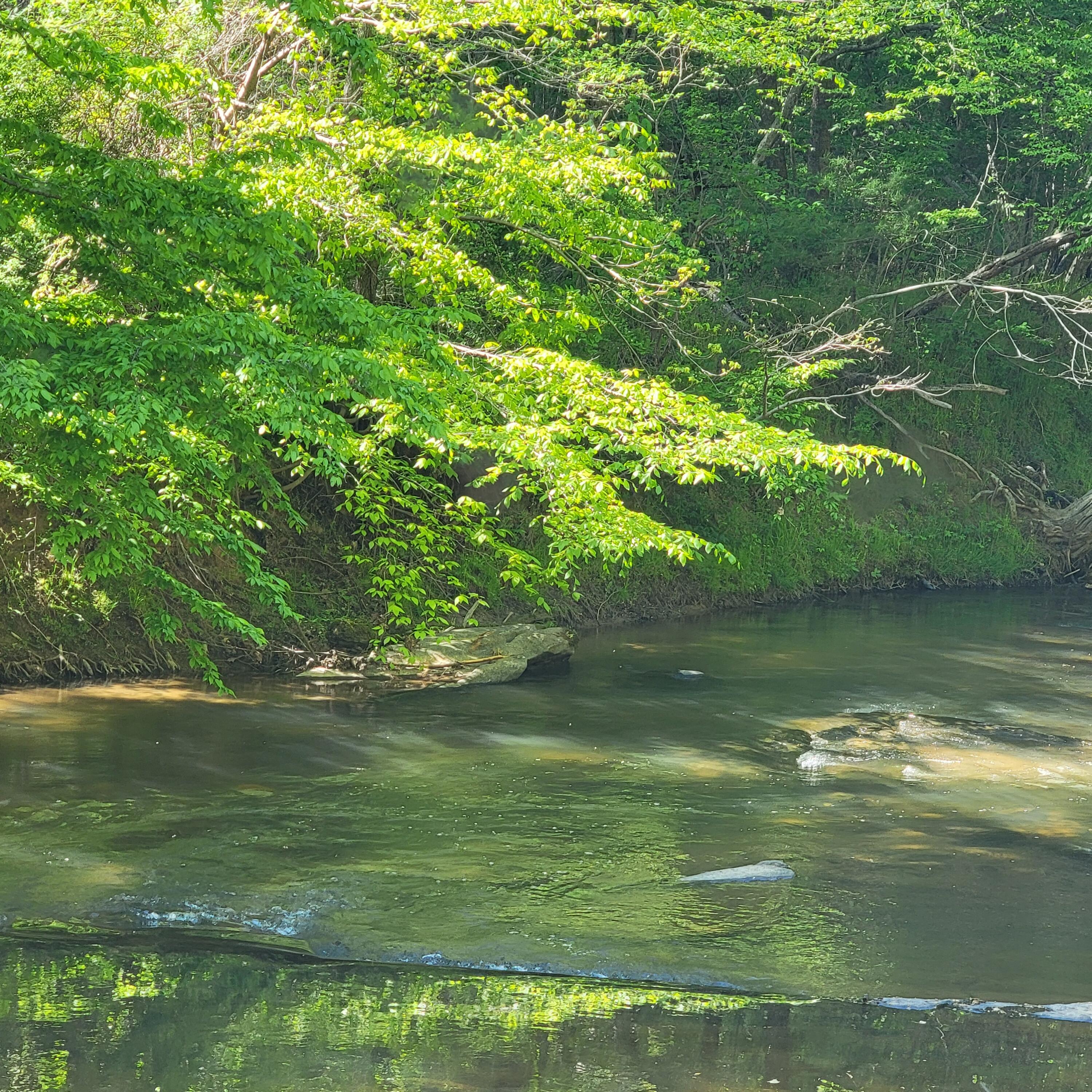 418 Blue Bend Road Rocky Mount, VA 24151 - Photo 40 of 40 River