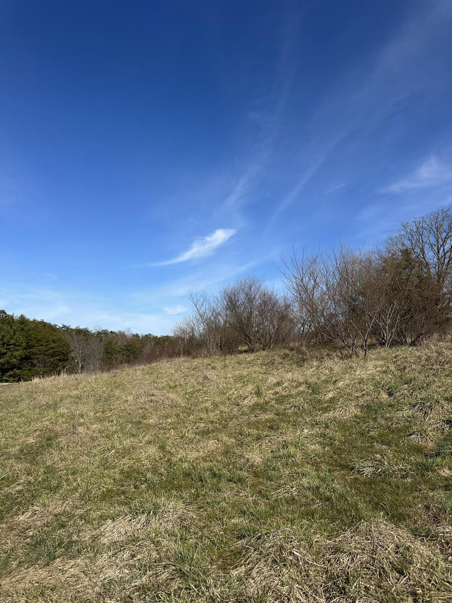 0 Lewis Chapel Road Dunlap, TN 37327 - Photo 29 of 38 Gallery Image 29