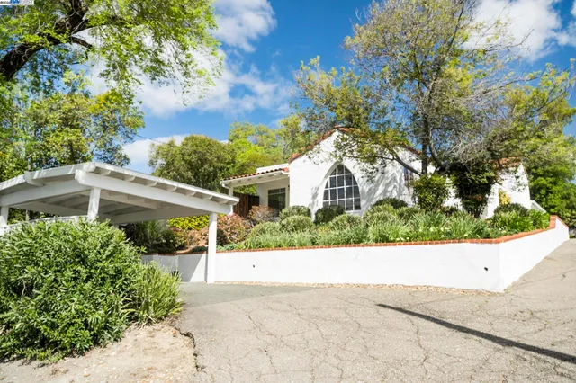 a view of a white house with a small yard plants and a large tree