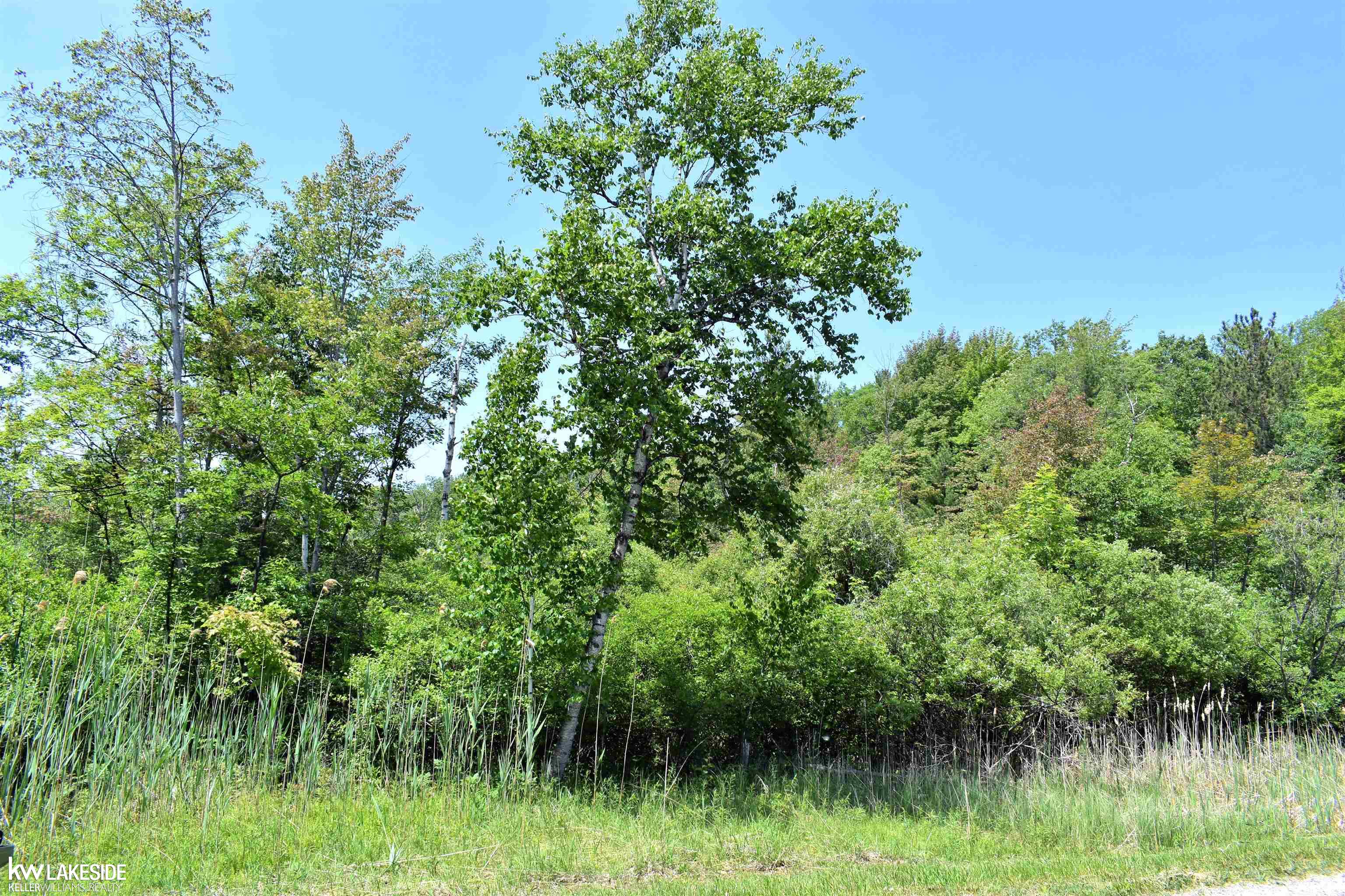 0 Oak Beach Road Port Austin, MI 48467 - Photo 2 of 22