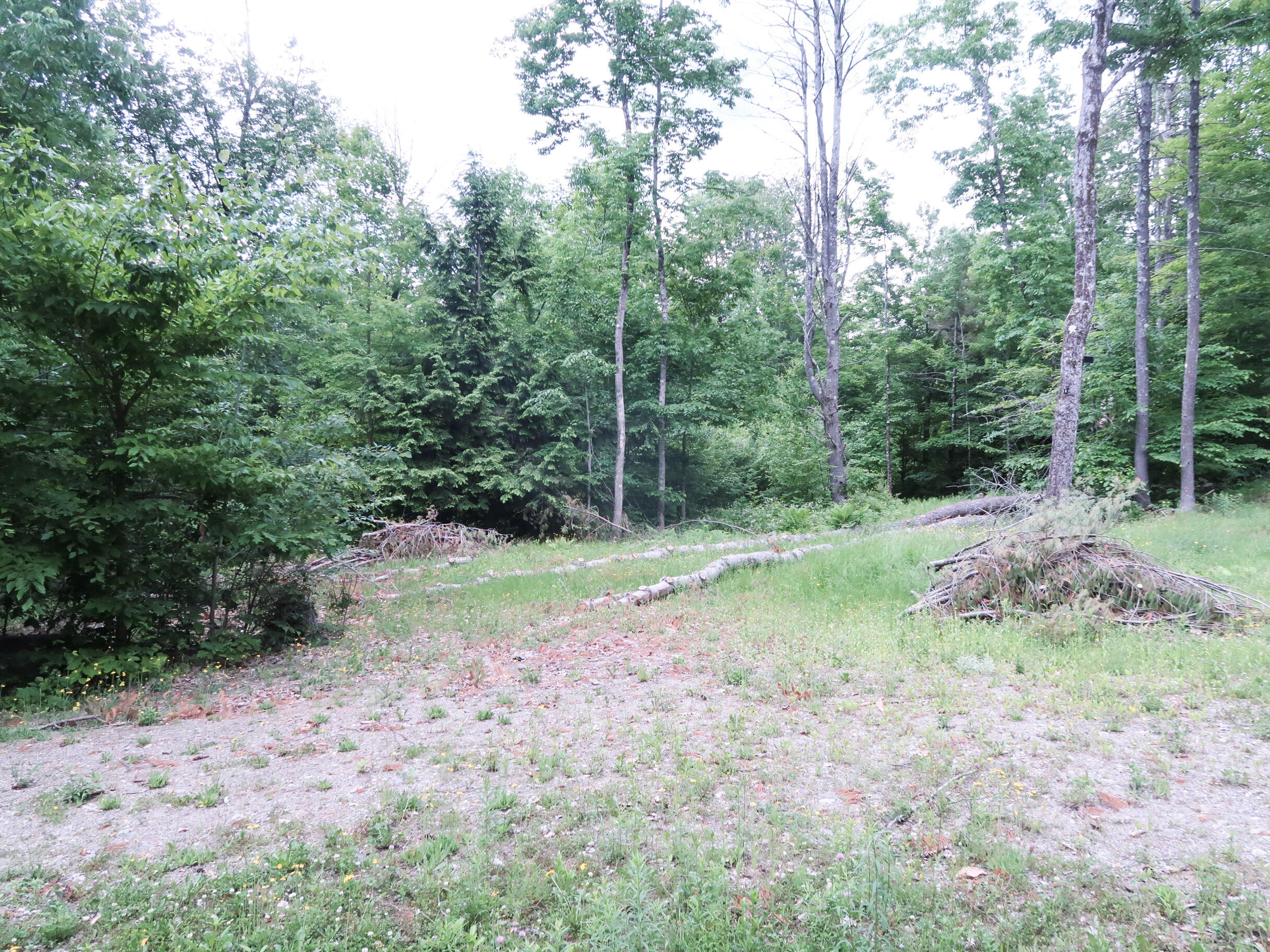 Lot 10 Oak Hill Road Litchfield, ME 04350 - Photo 8 of 23 10-IMG_3769