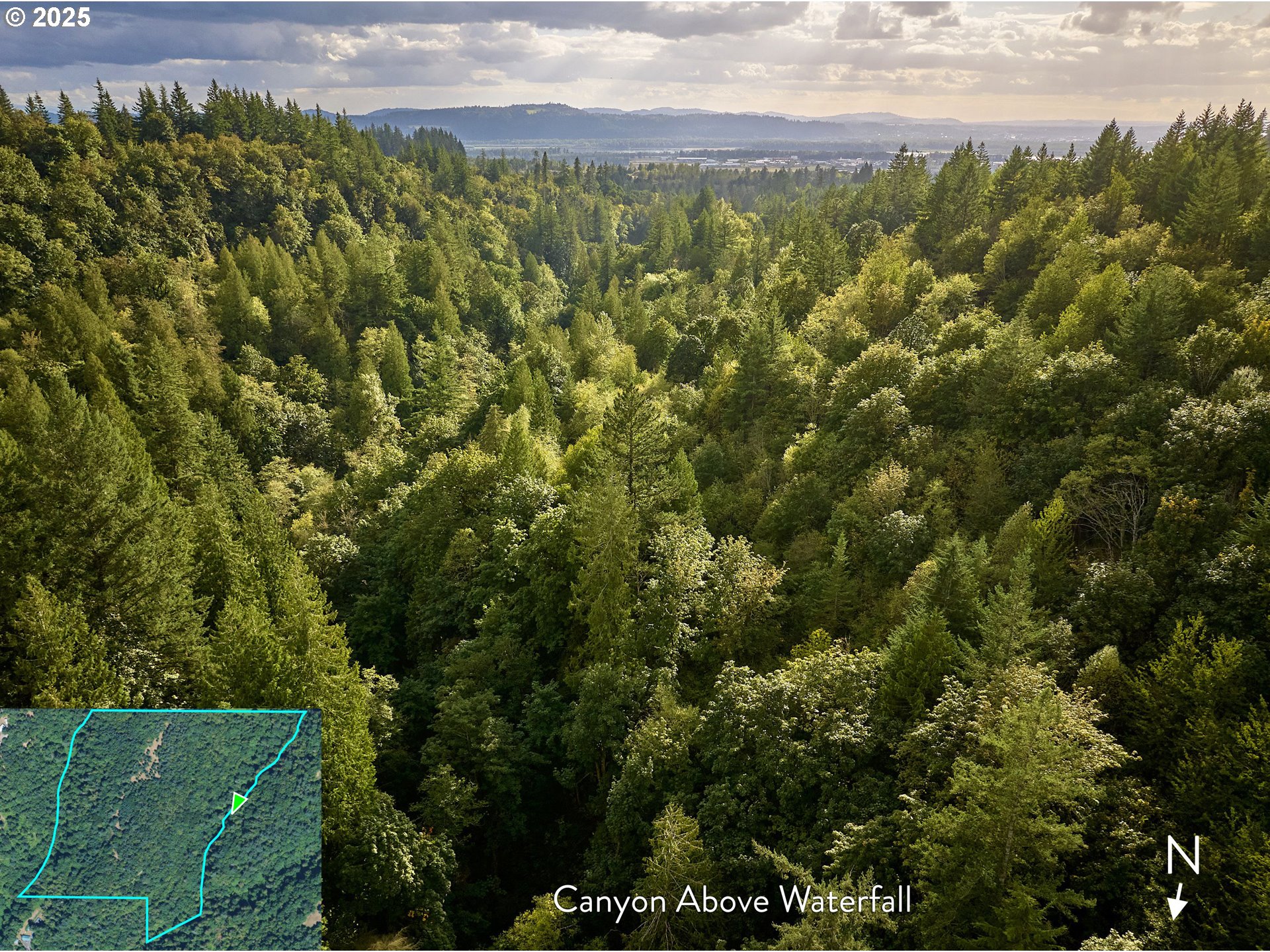 Southeast Wooding Road Washougal, WA 98671 - Photo 13 of 15 a view of a city with lush green forest
