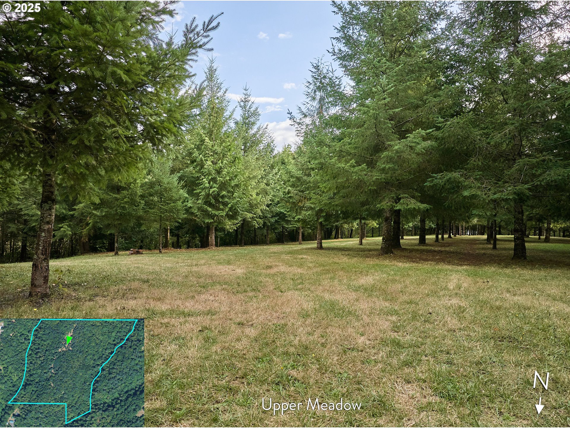 Southeast Wooding Road Washougal, WA 98671 - Photo 6 of 15 a view of a trees in a yard