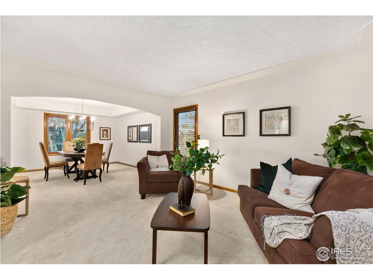 32593 Stagecoach Road Windsor, CO 80550 - Photo 17 of 28 a living room with furniture and potted plants with wooden floor