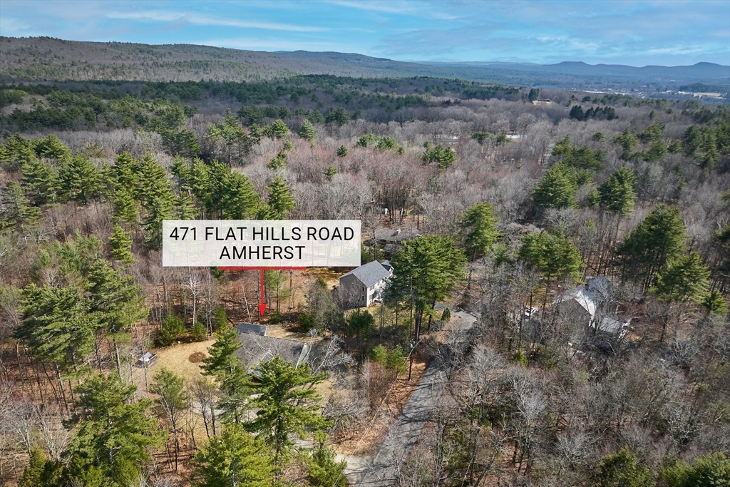 471 Flat Hills Road Amherst, MA 01002 - Photo 31 of 32