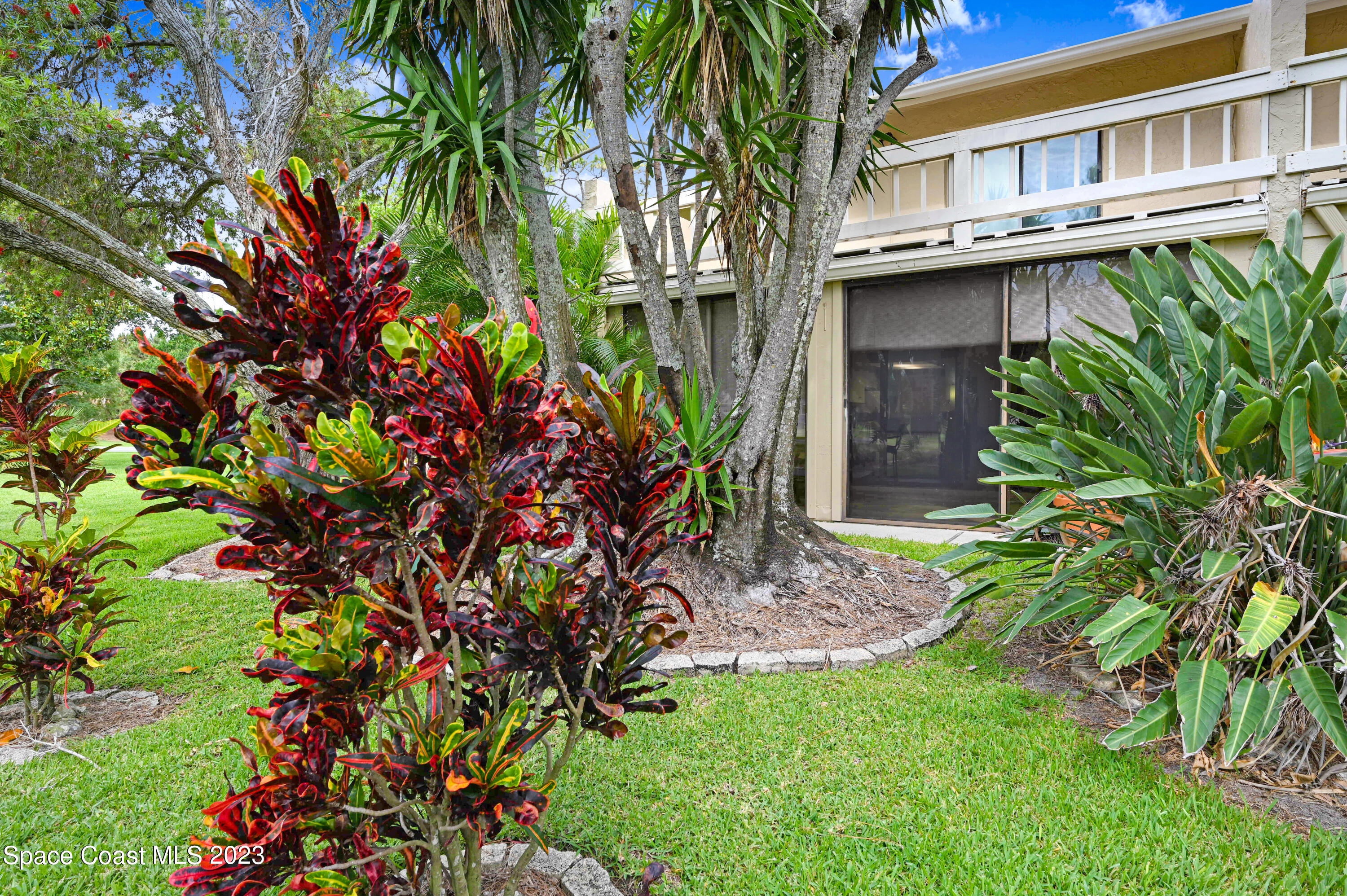 229 Augusta Way Melbourne, FL 32940 - Photo 33 of 39 a plant that is in front of a building