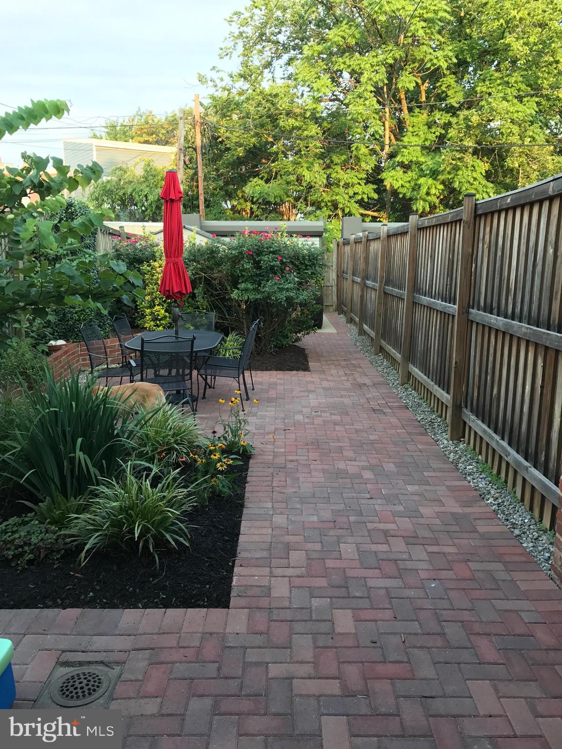 421 15th Street Southeast Washington, DC 20003 - Photo 6 of 9 At grade rear yard with parking