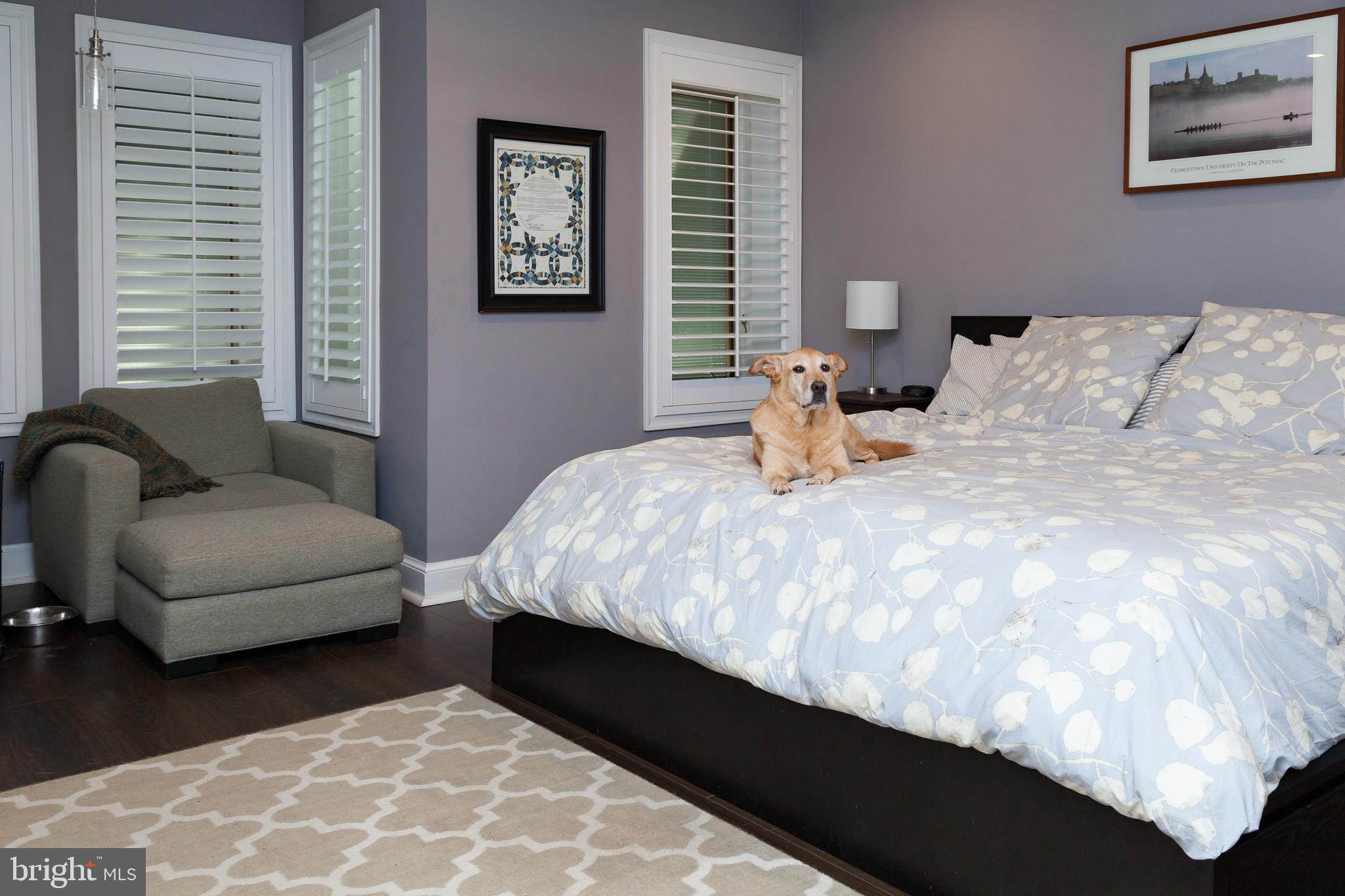 421 15th Street Southeast Washington, DC 20003 - Photo 9 of 9 Owner's Suite