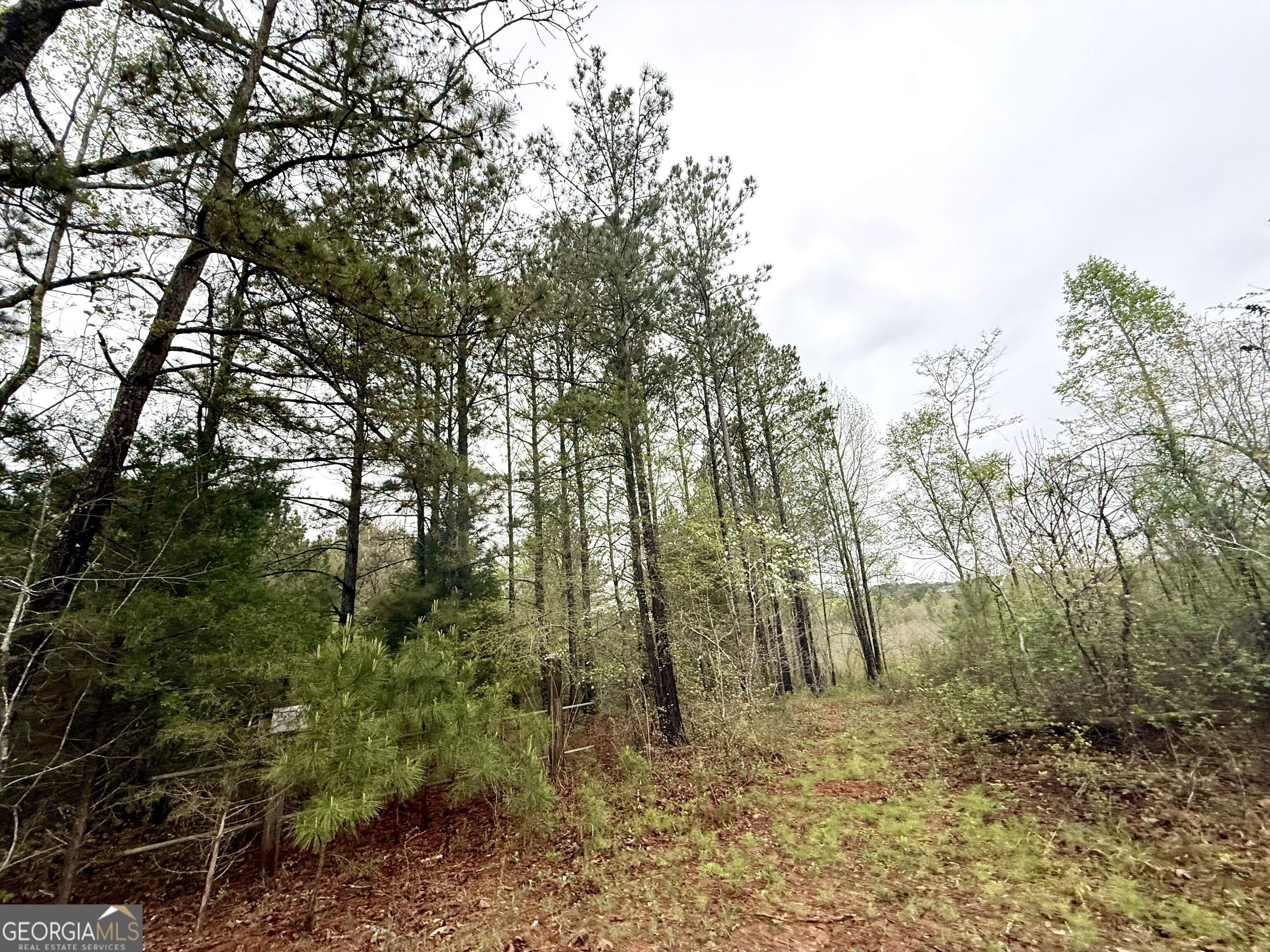 922 Shoemake Road Carrollton, GA 30116 - Photo 107 of 128