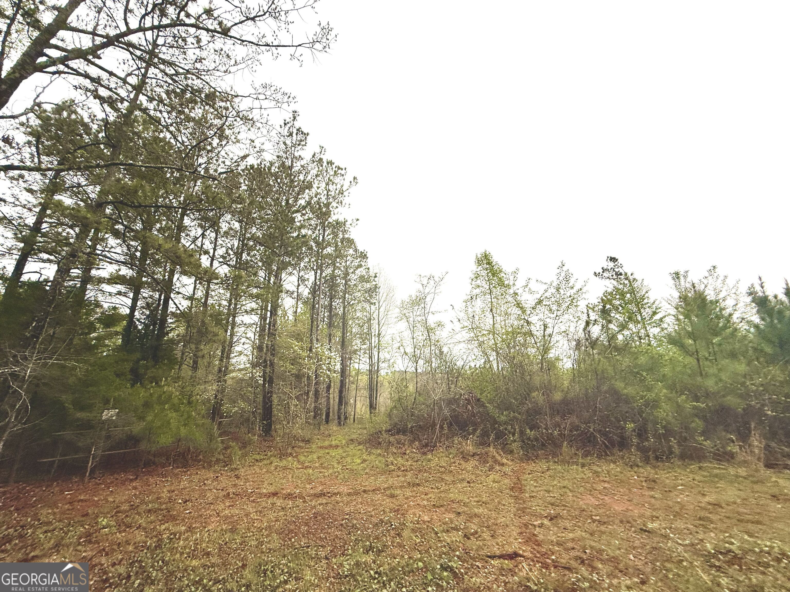 922 Shoemake Road Carrollton, GA 30116 - Photo 112 of 128