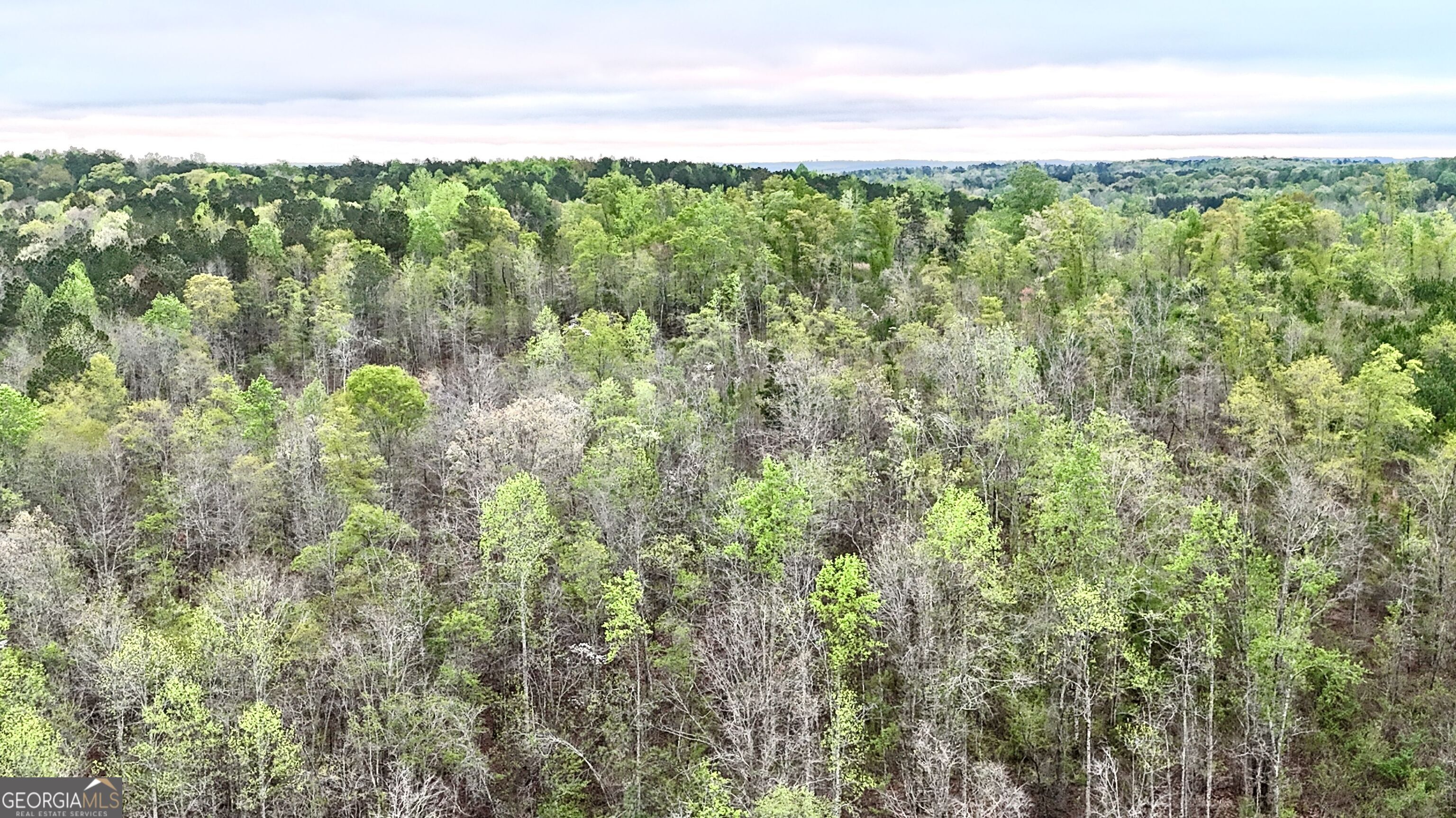 922 Shoemake Road Carrollton, GA 30116 - Photo 55 of 128