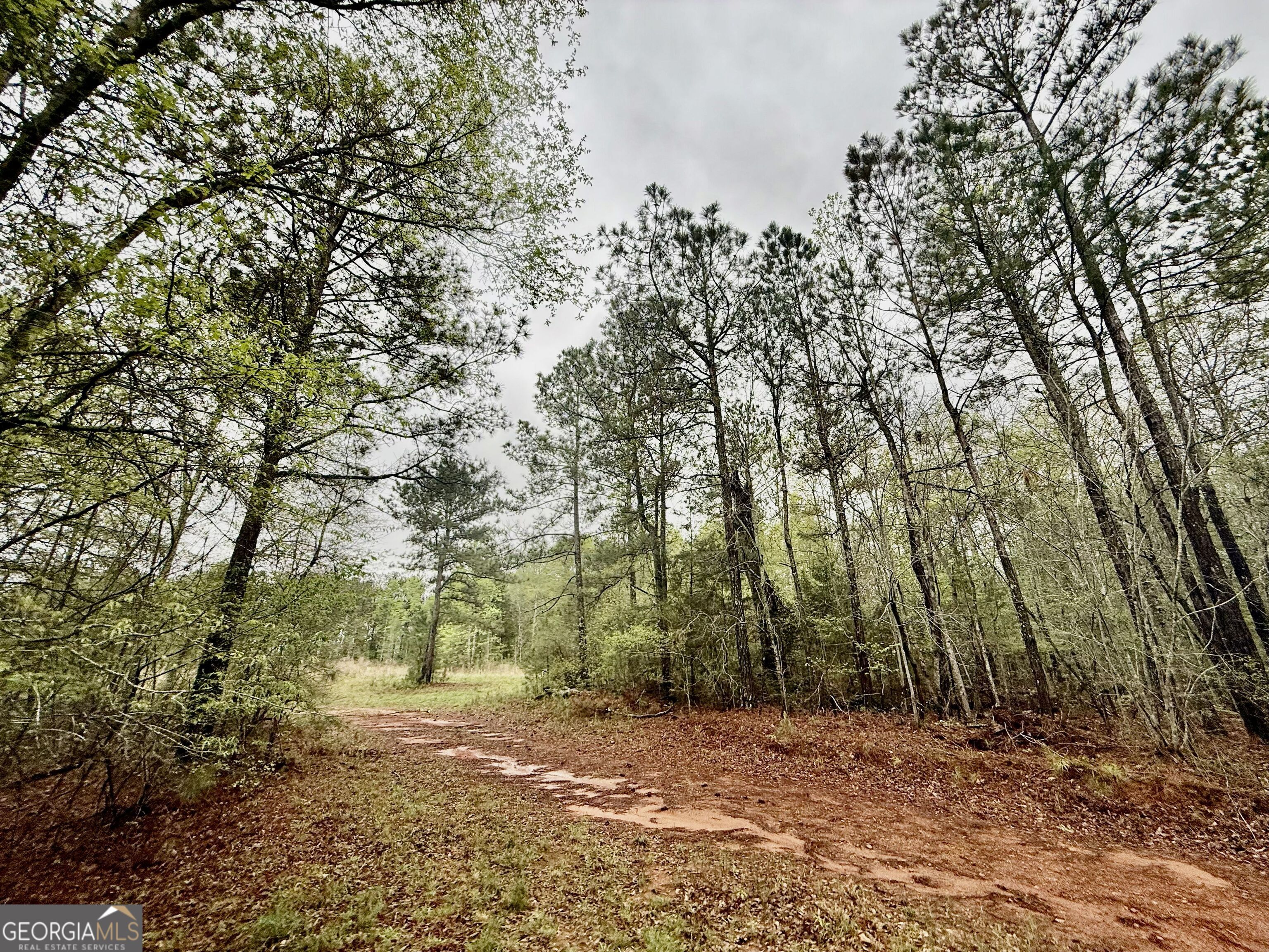 922 Shoemake Road Carrollton, GA 30116 - Photo 71 of 128