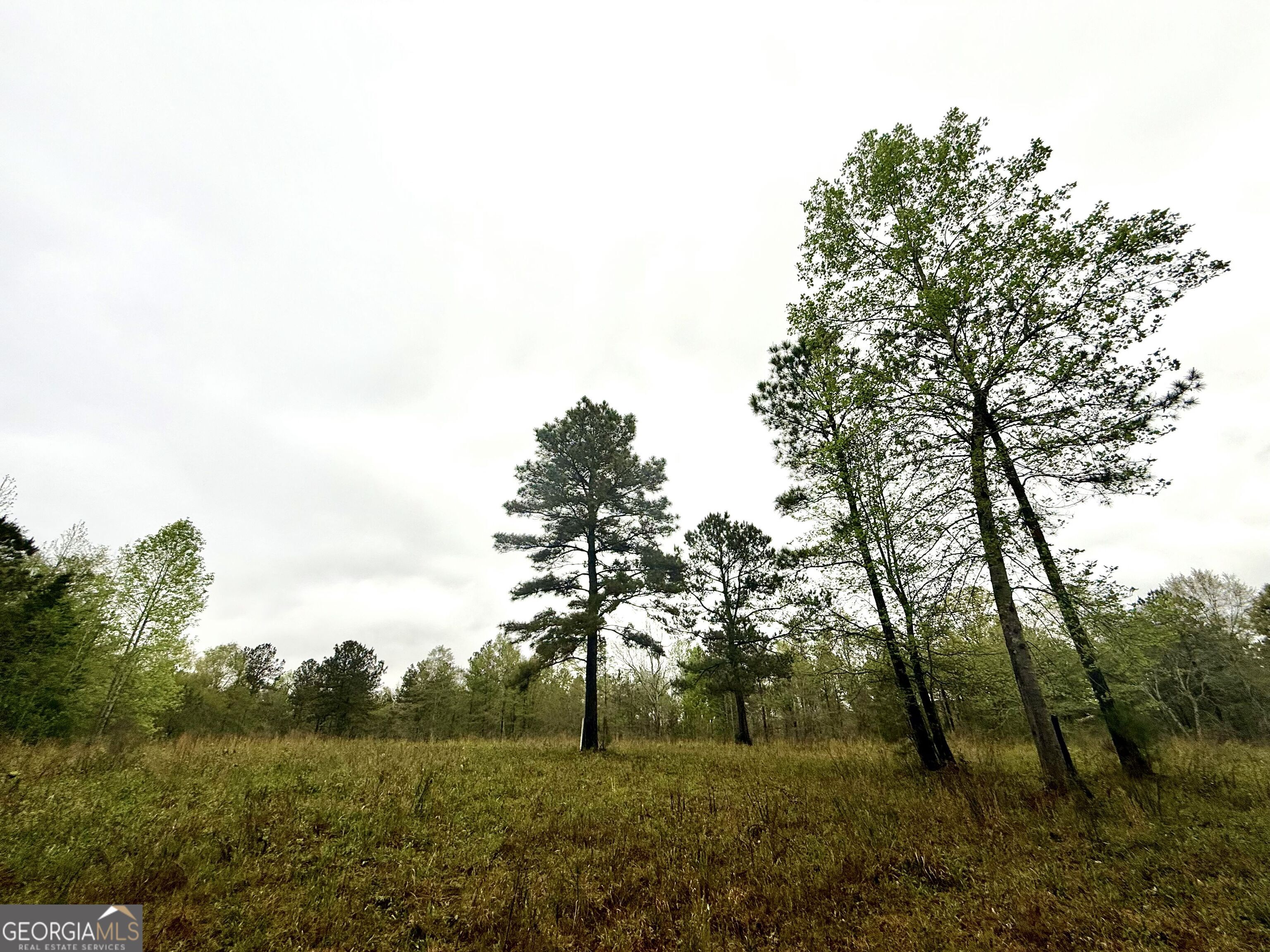 922 Shoemake Road Carrollton, GA 30116 - Photo 77 of 128