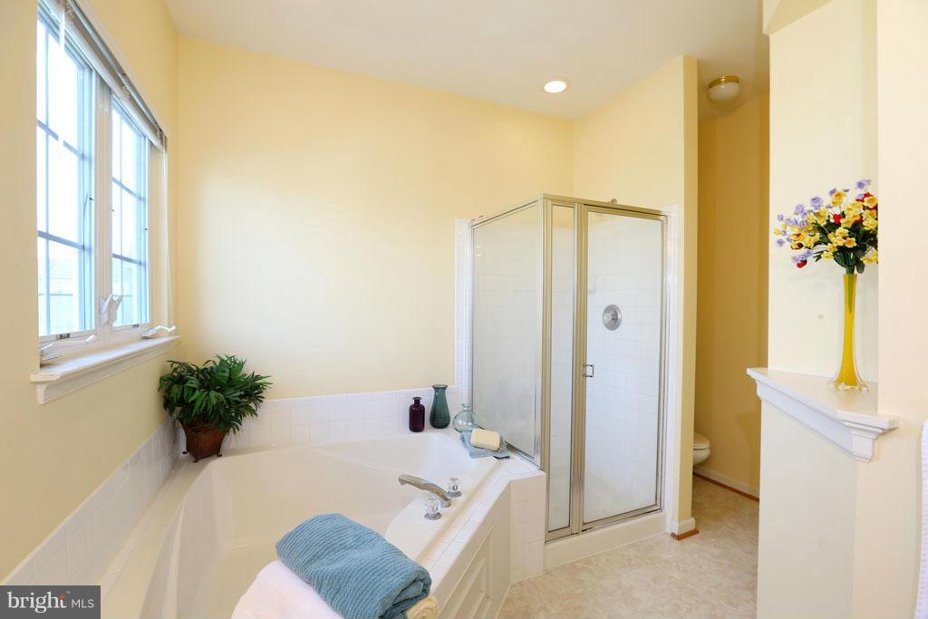 18411 Clear Smoke Road Boyds, MD 20841 - Photo 21 of 30 Bath (Master)