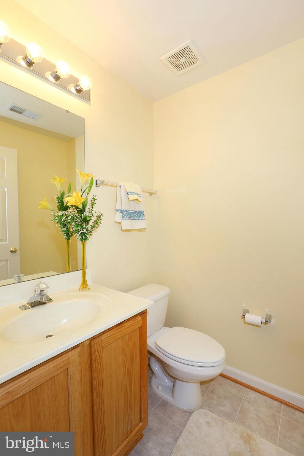18411 Clear Smoke Road Boyds, MD 20841 - Photo 23 of 30 Basement Bath